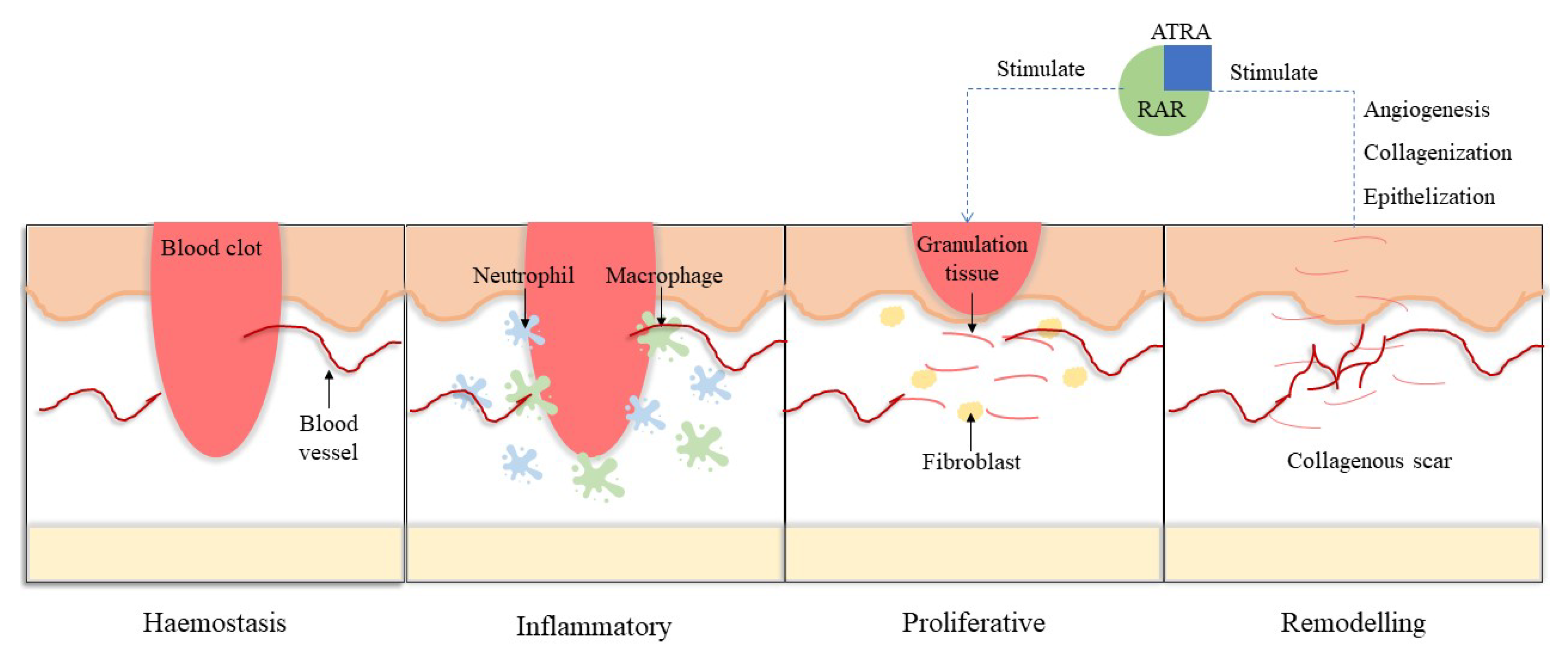 Cosmetics 09 00140 g006