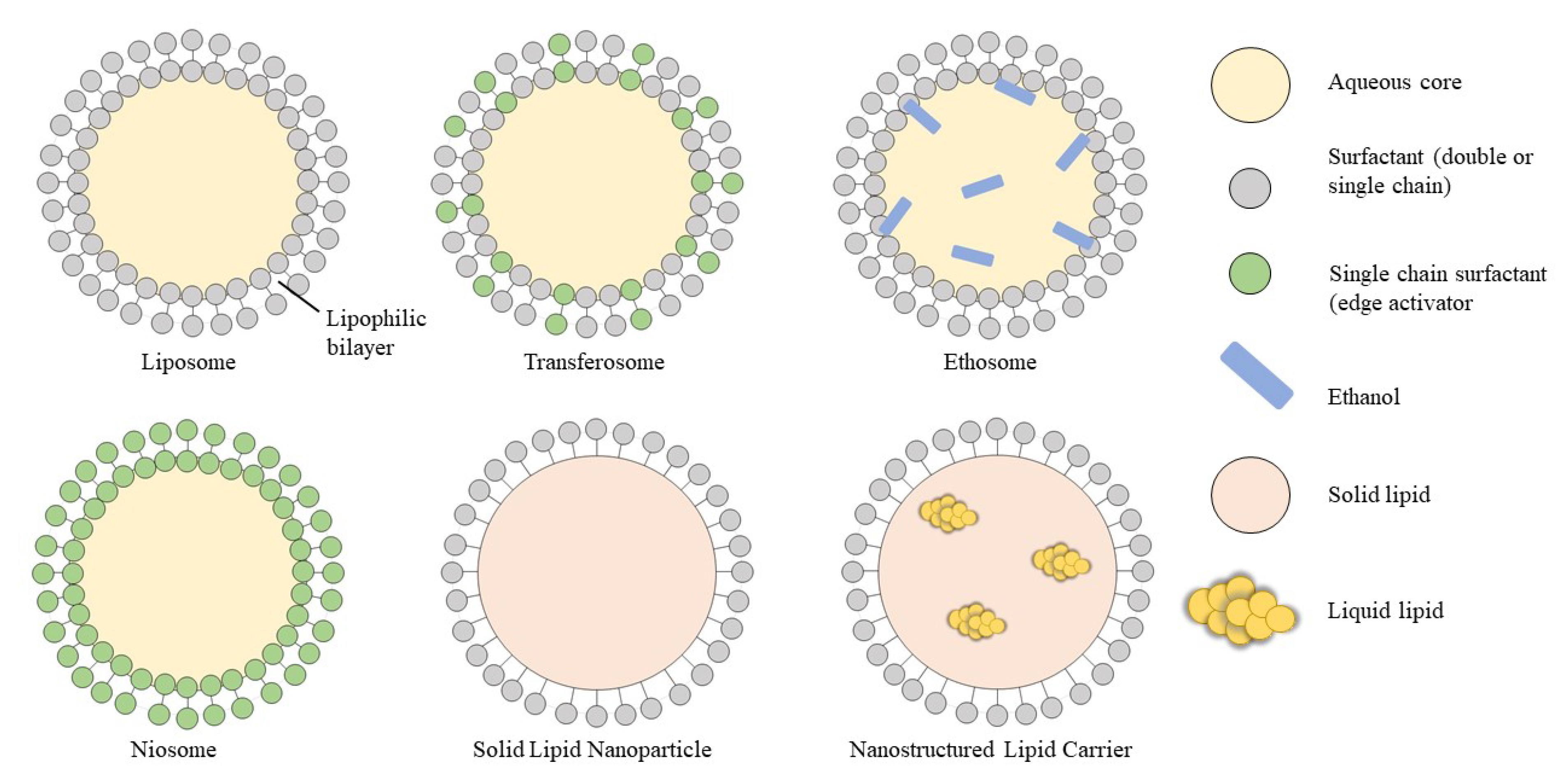 Cosmetics 09 00140 g007