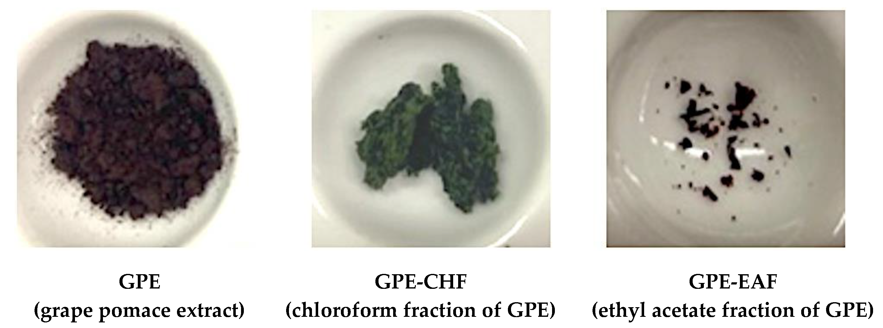 Cosmetics 10 00002 g001