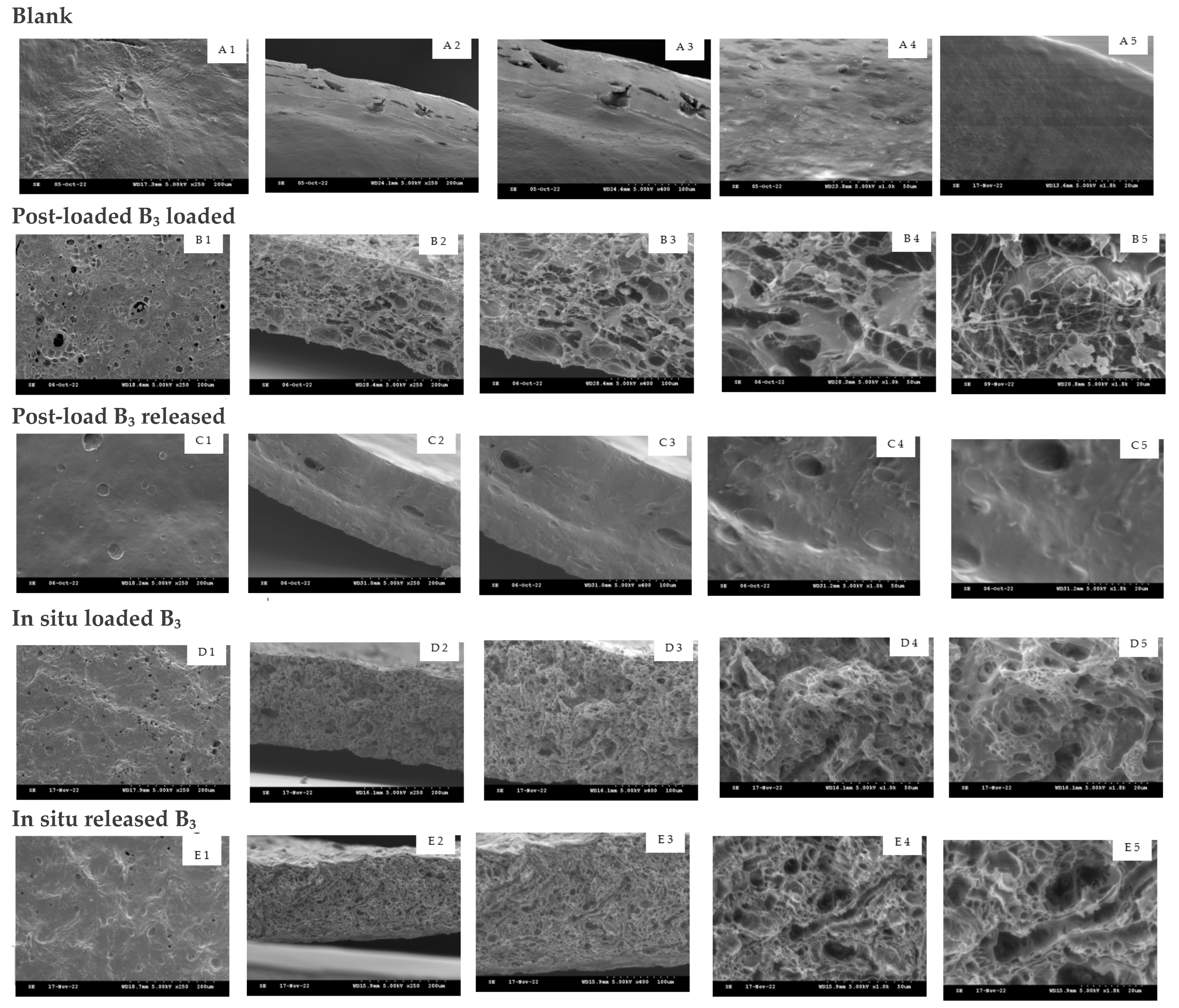 Cosmetics 10 00006 g005 Cosmetics 10 00006 g005