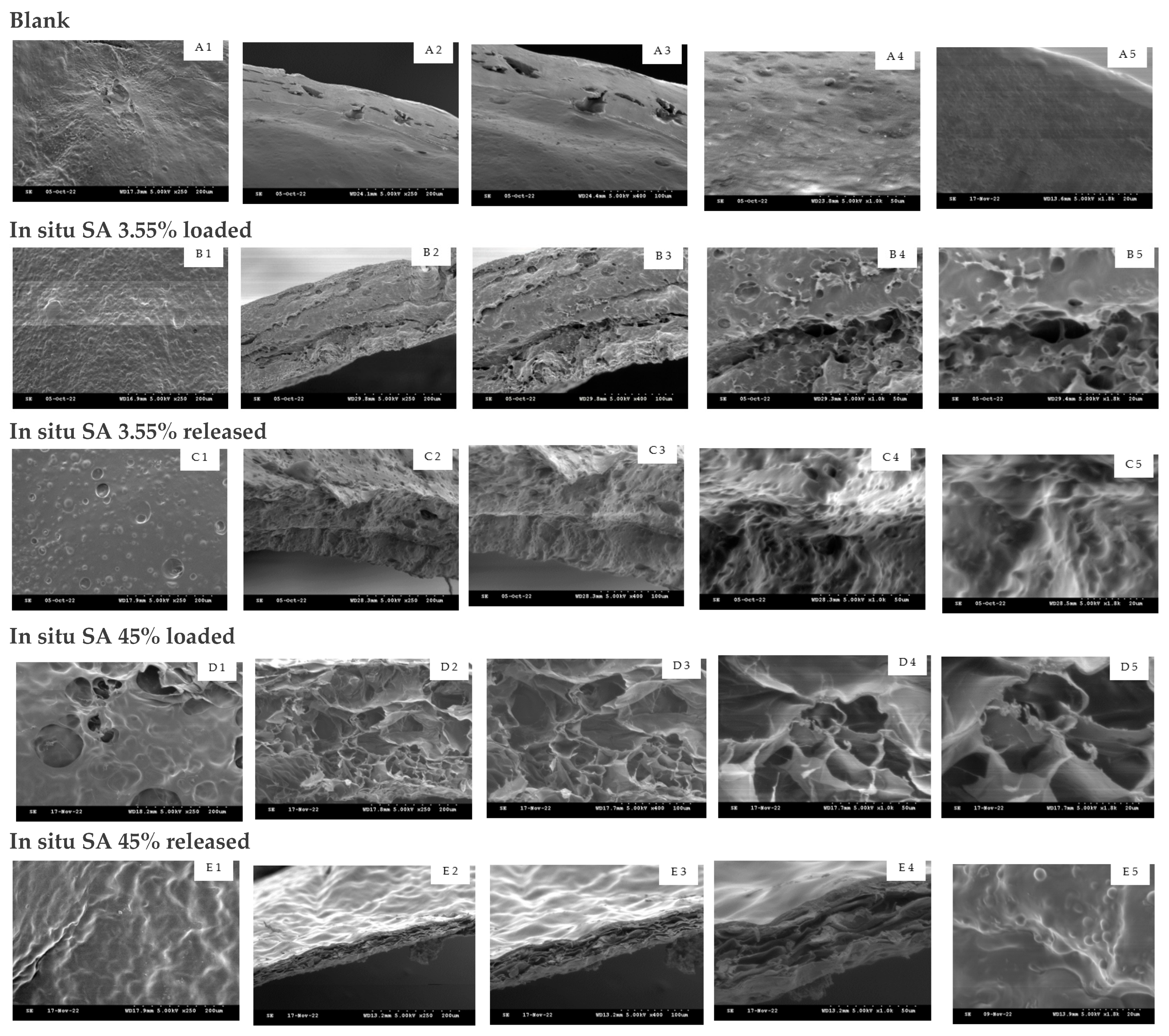 Cosmetics 10 00006 g006 Cosmetics 10 00006 g006
