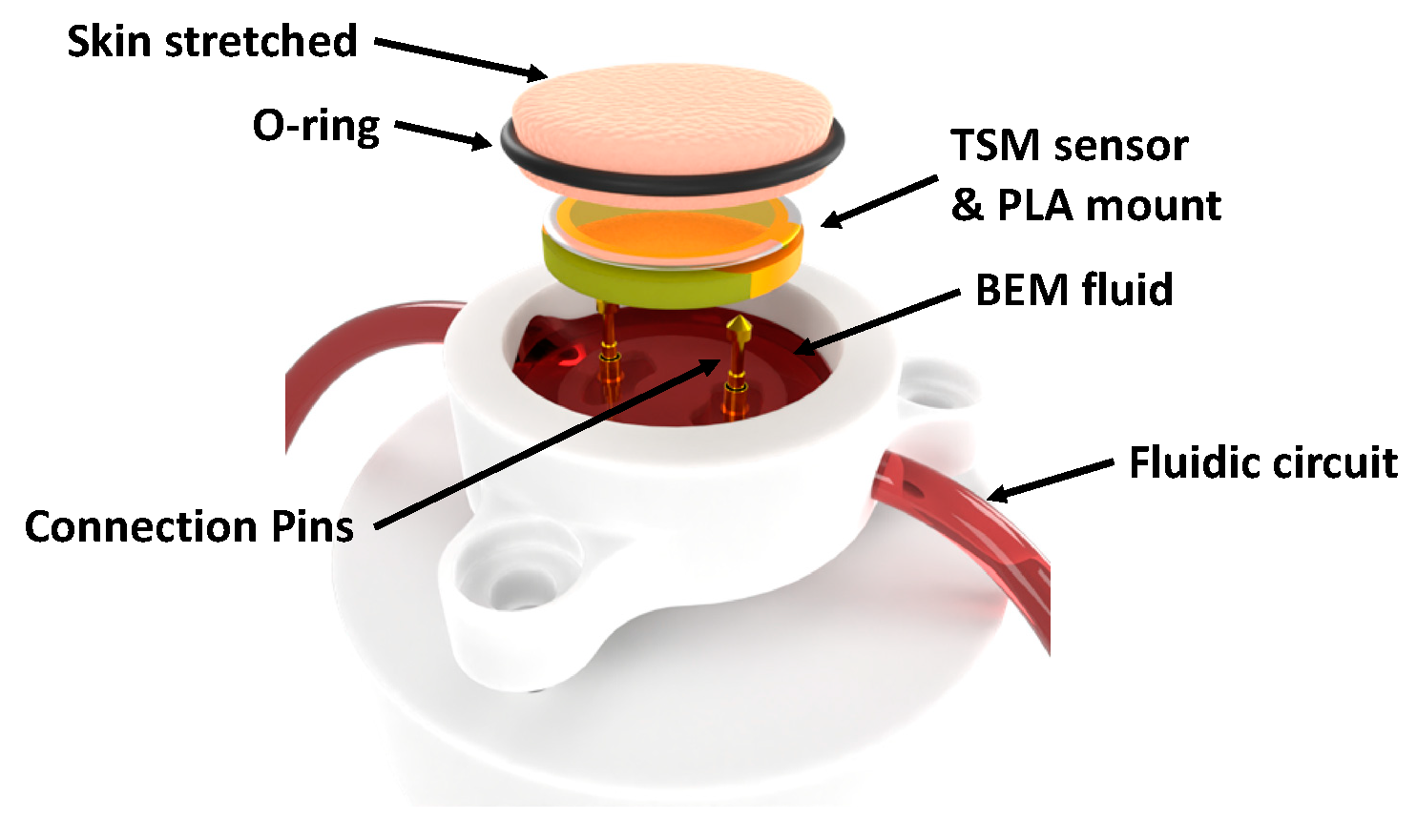 Cosmetics 10 00013 g001