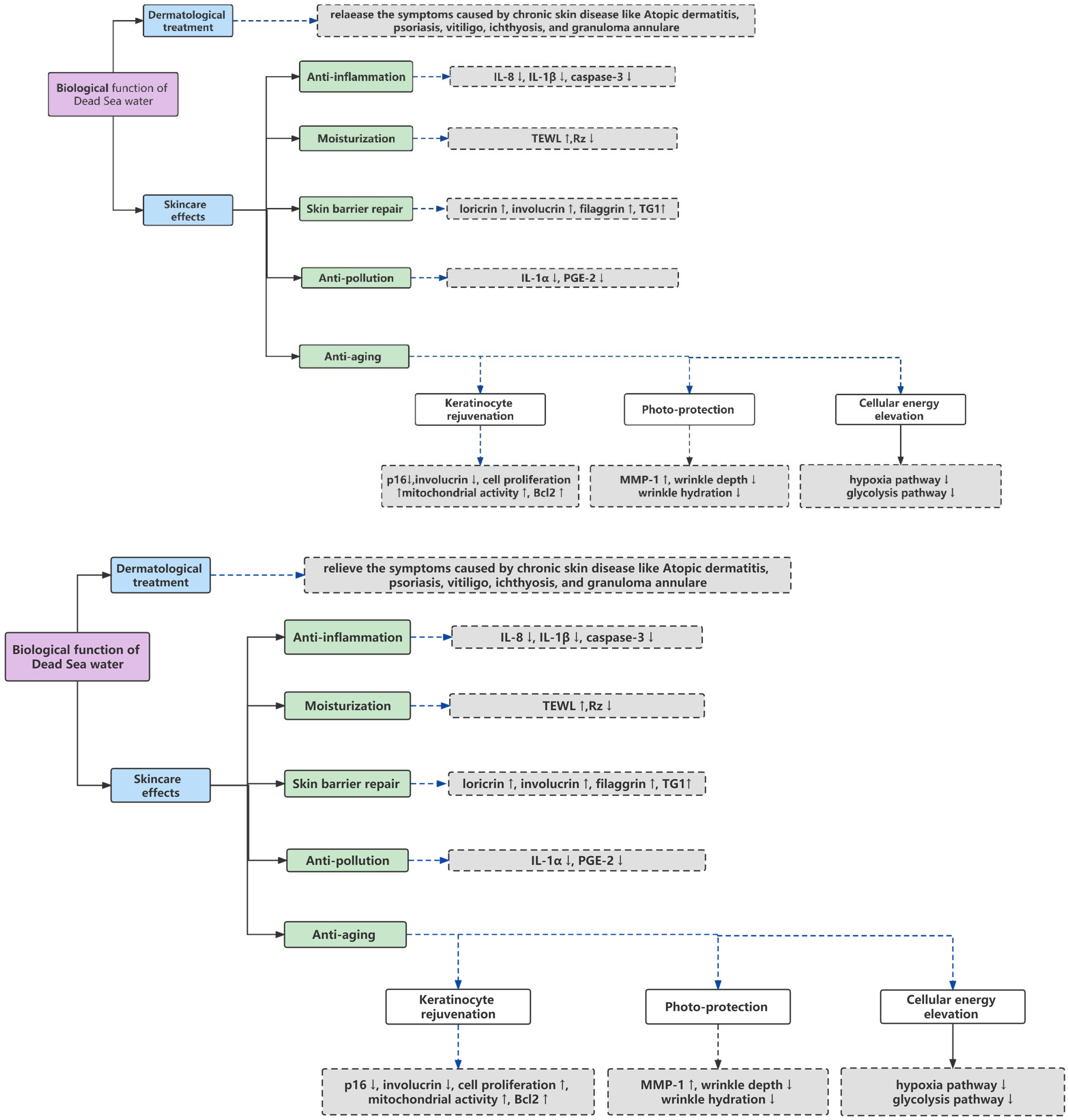 Cosmetics 10 00021 g001