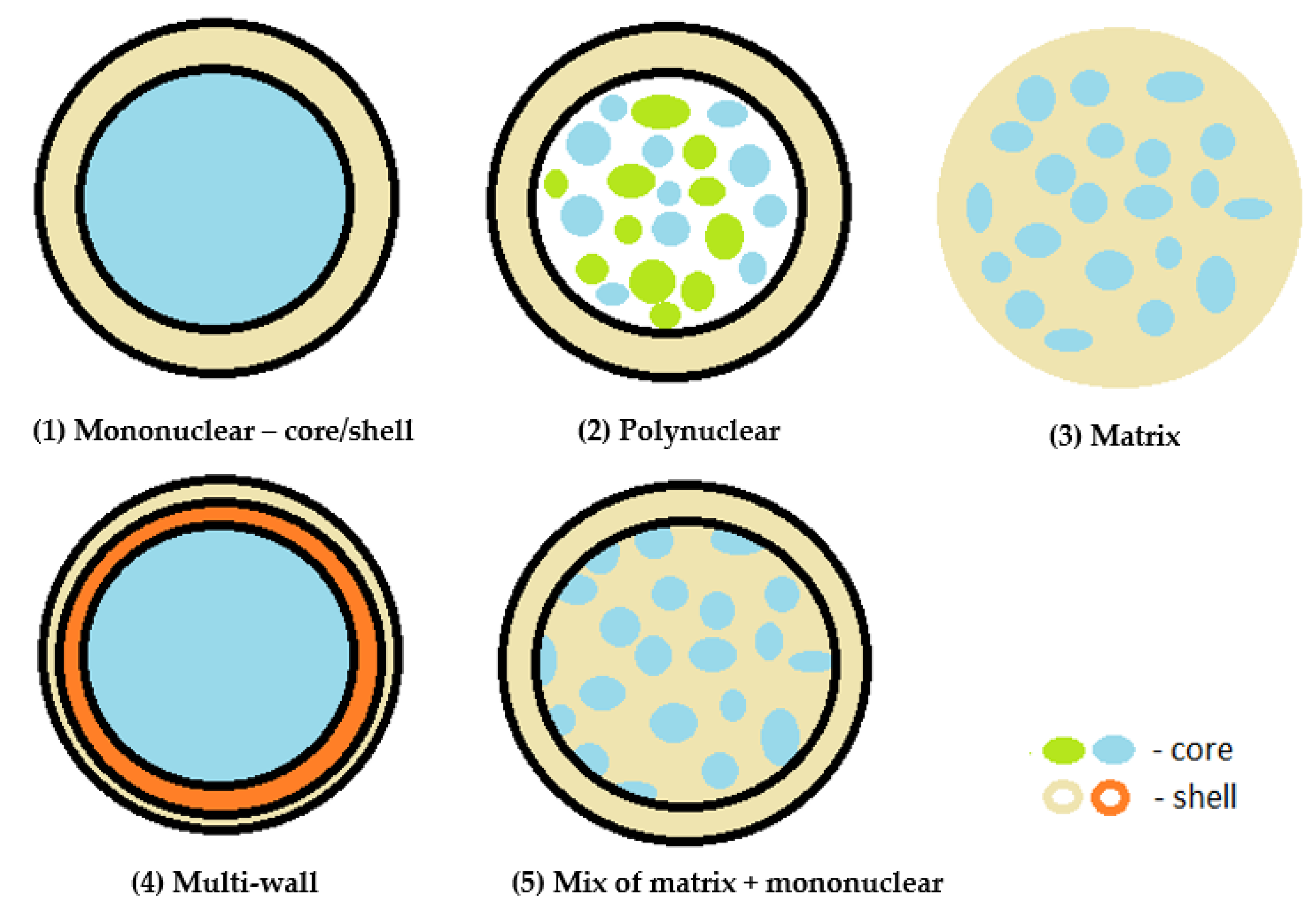 Cosmetics 10 00026 g003