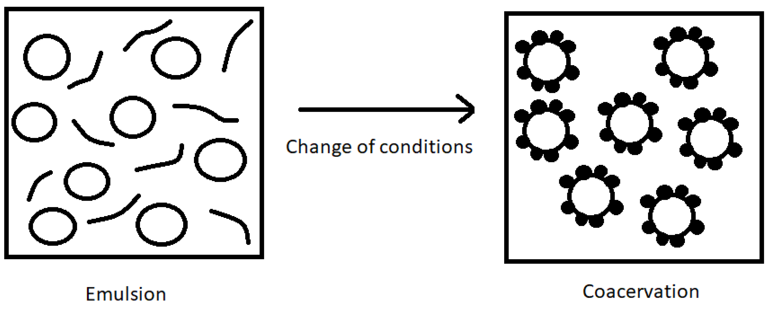 Cosmetics 10 00026 g007