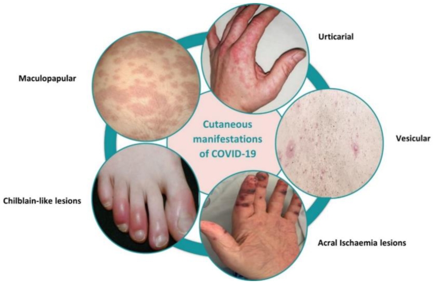 Cosmetics 10 00034 g001