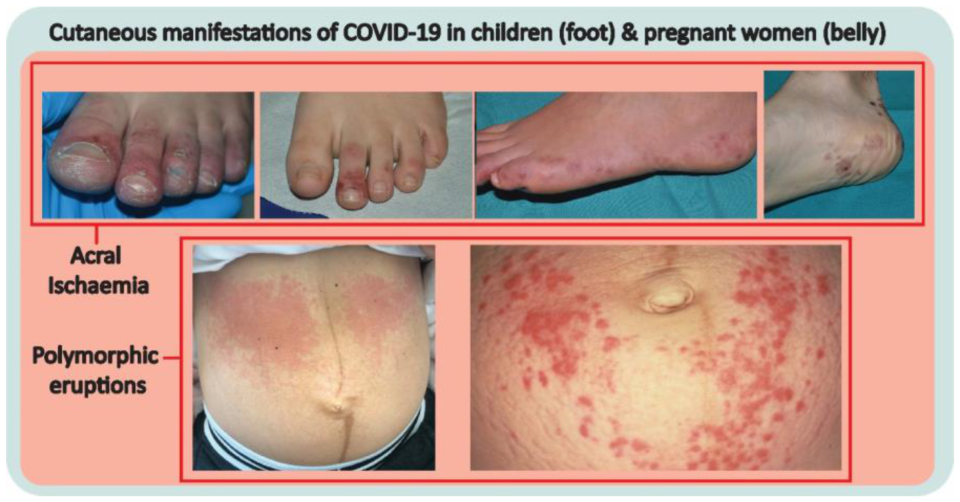 Cosmetics 10 00034 g002