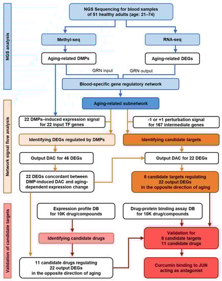 Cosmetics 10 00041 g002