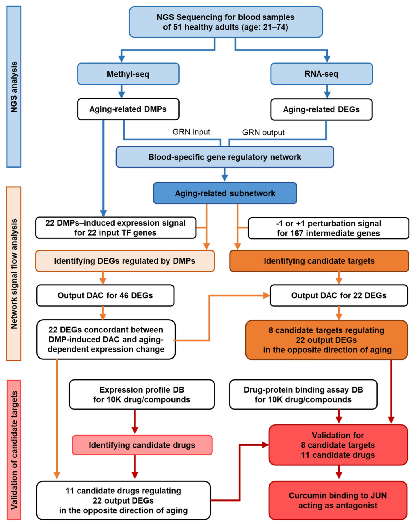 Cosmetics 10 00041 g002