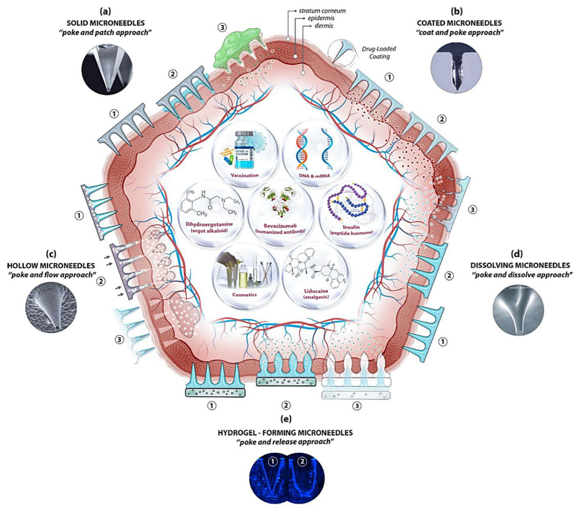 Cosmetics 10 00041 g003