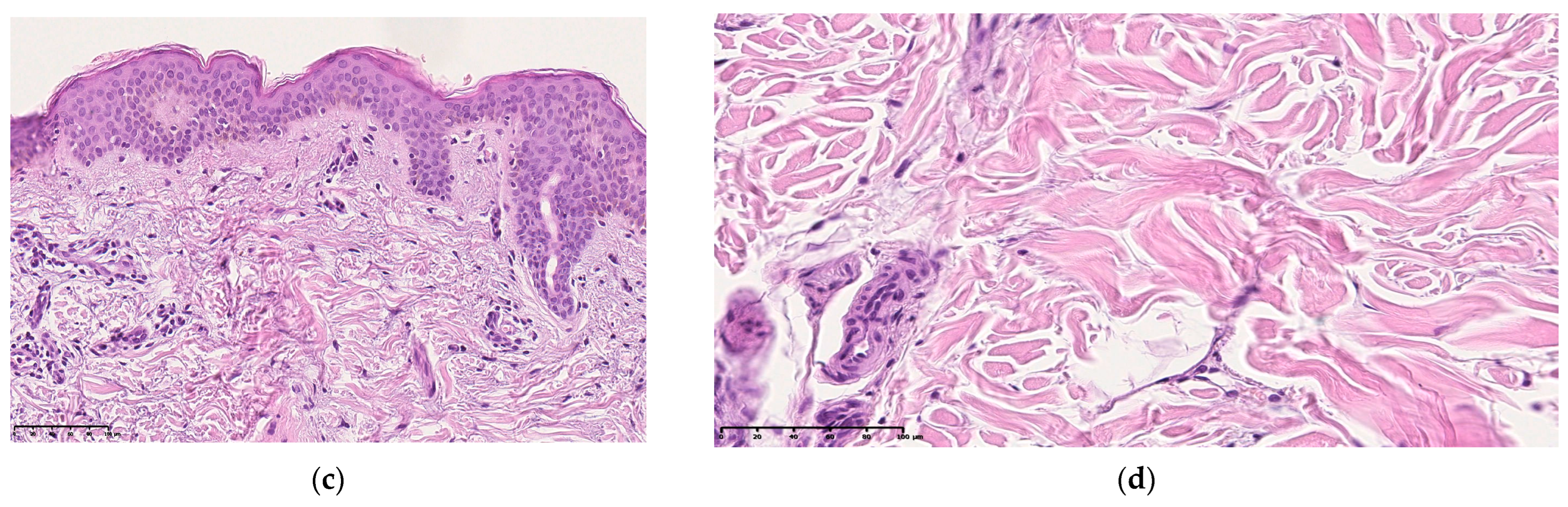 Cosmetics 10 00049 g007b Cosmetics 10 00049 g007b