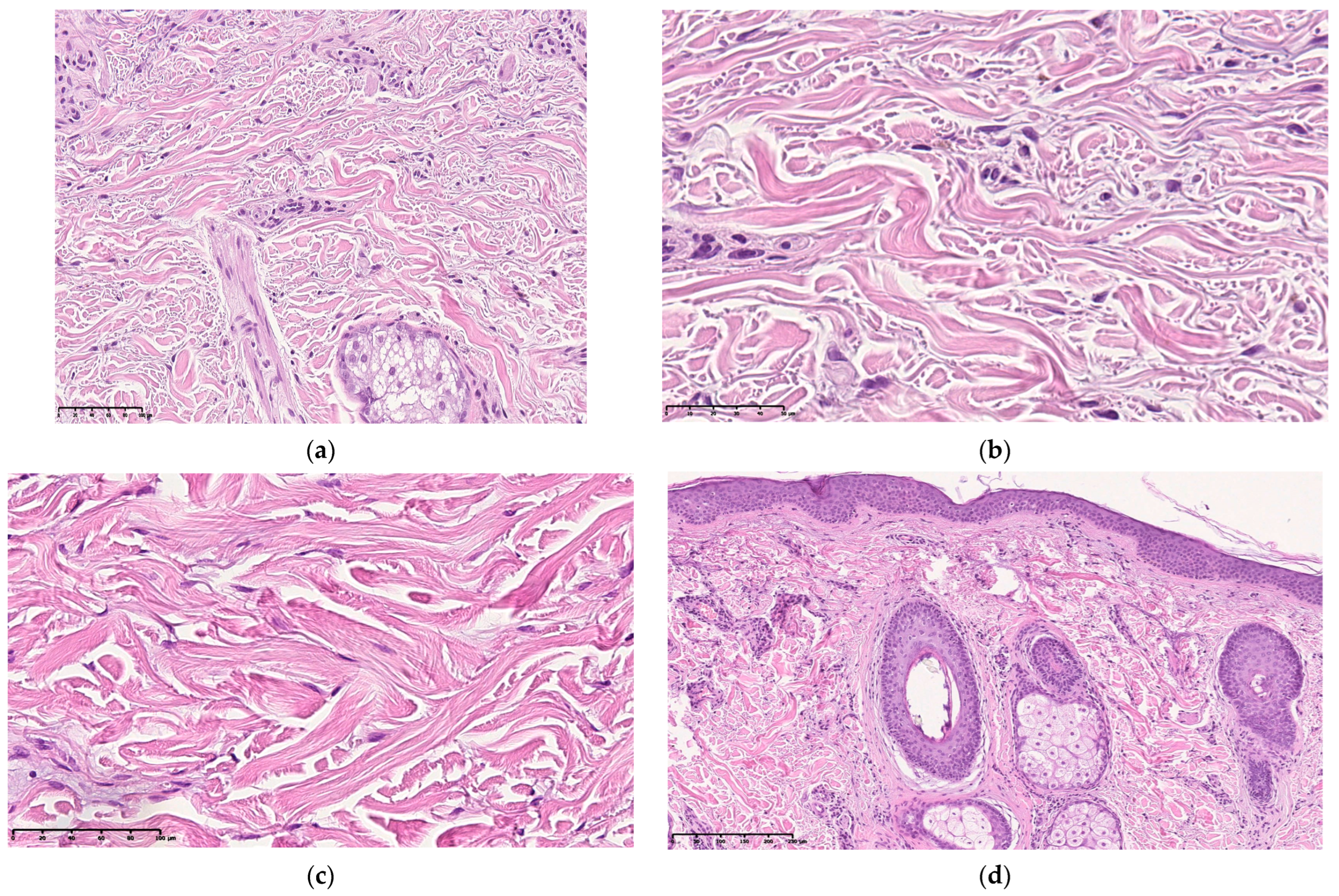 Cosmetics 10 00049 g008 Cosmetics 10 00049 g008