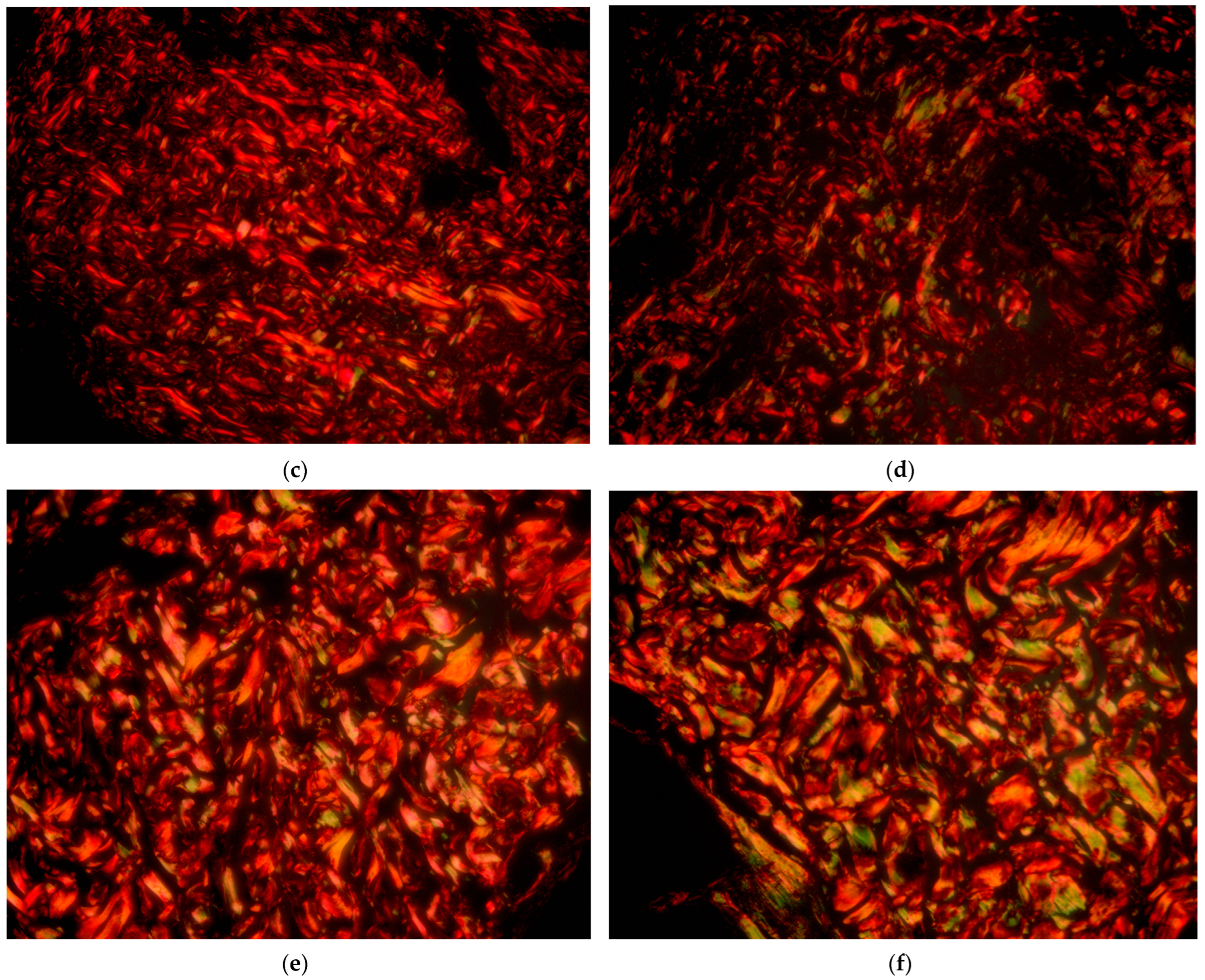 Cosmetics 10 00049 g009b Cosmetics 10 00049 g009b