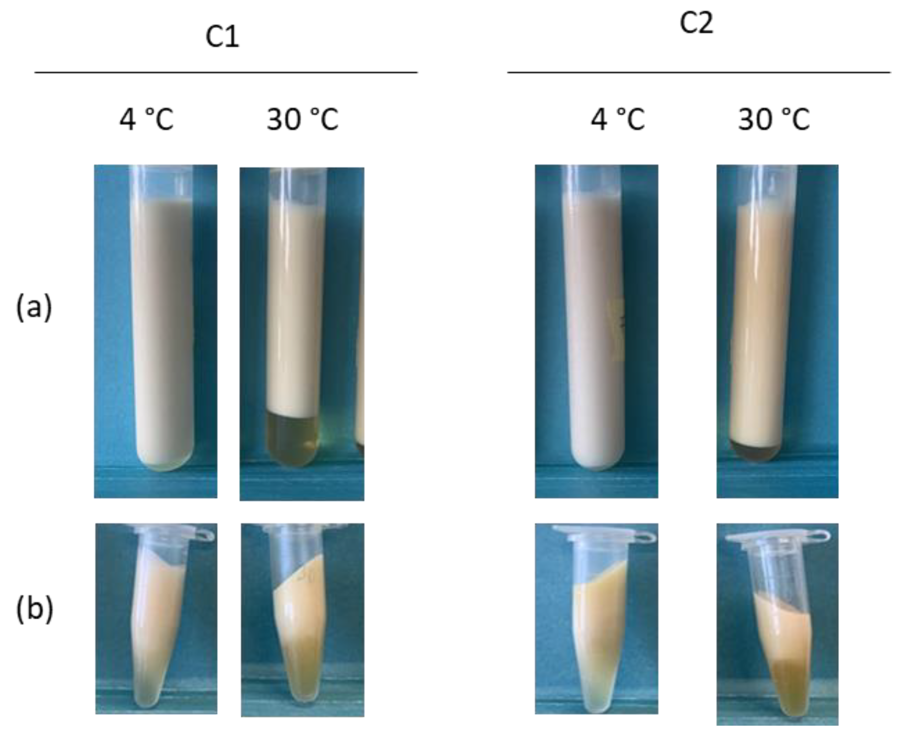 Cosmetics 10 00056 g008