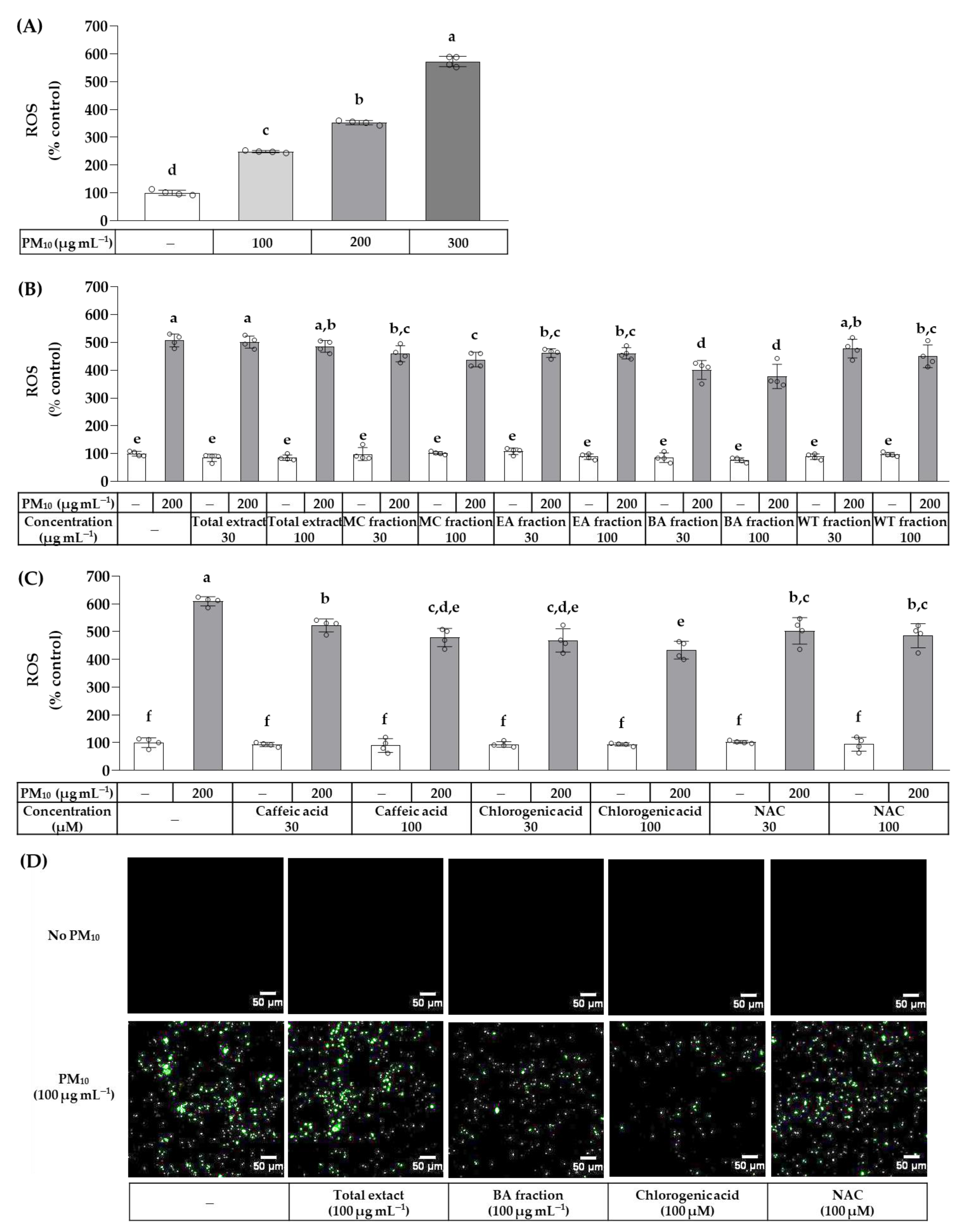 Cosmetics 10 00060 g004