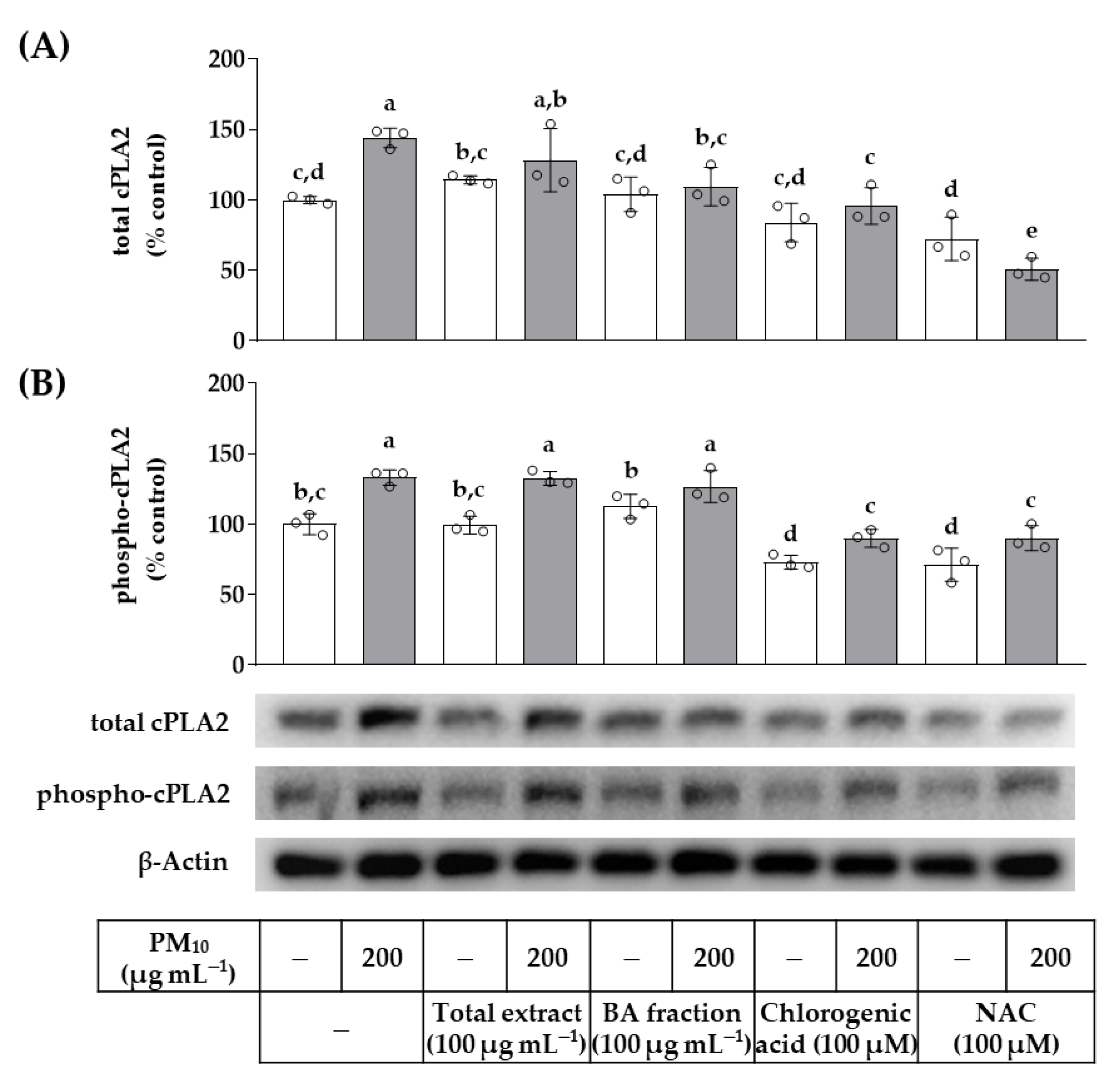 Cosmetics 10 00060 g009