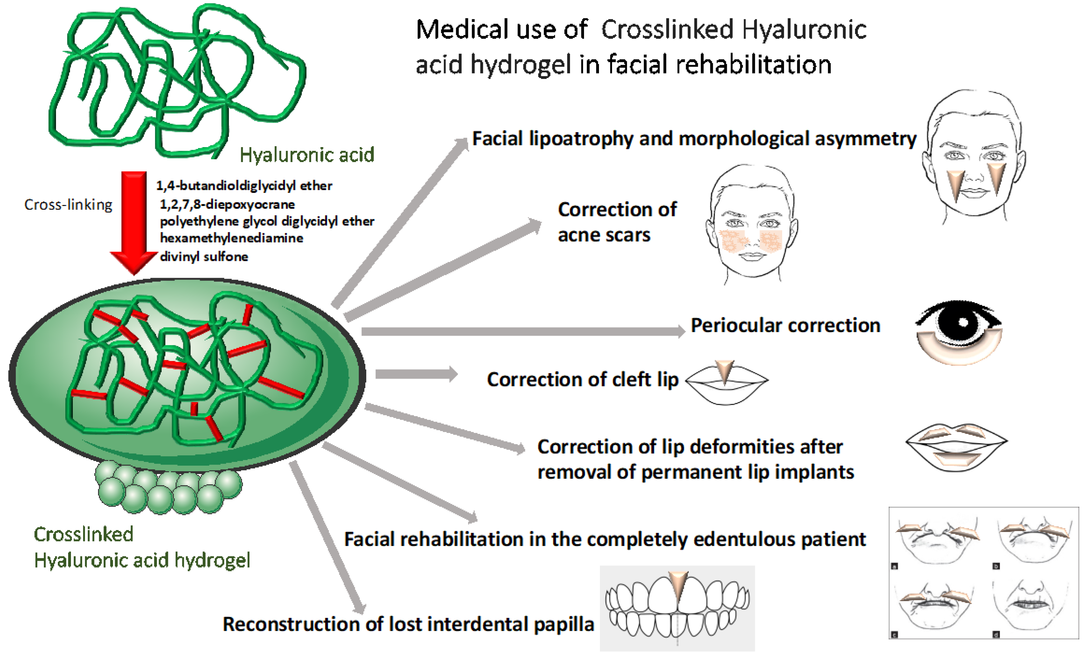 Cosmetics 10 00061 g001