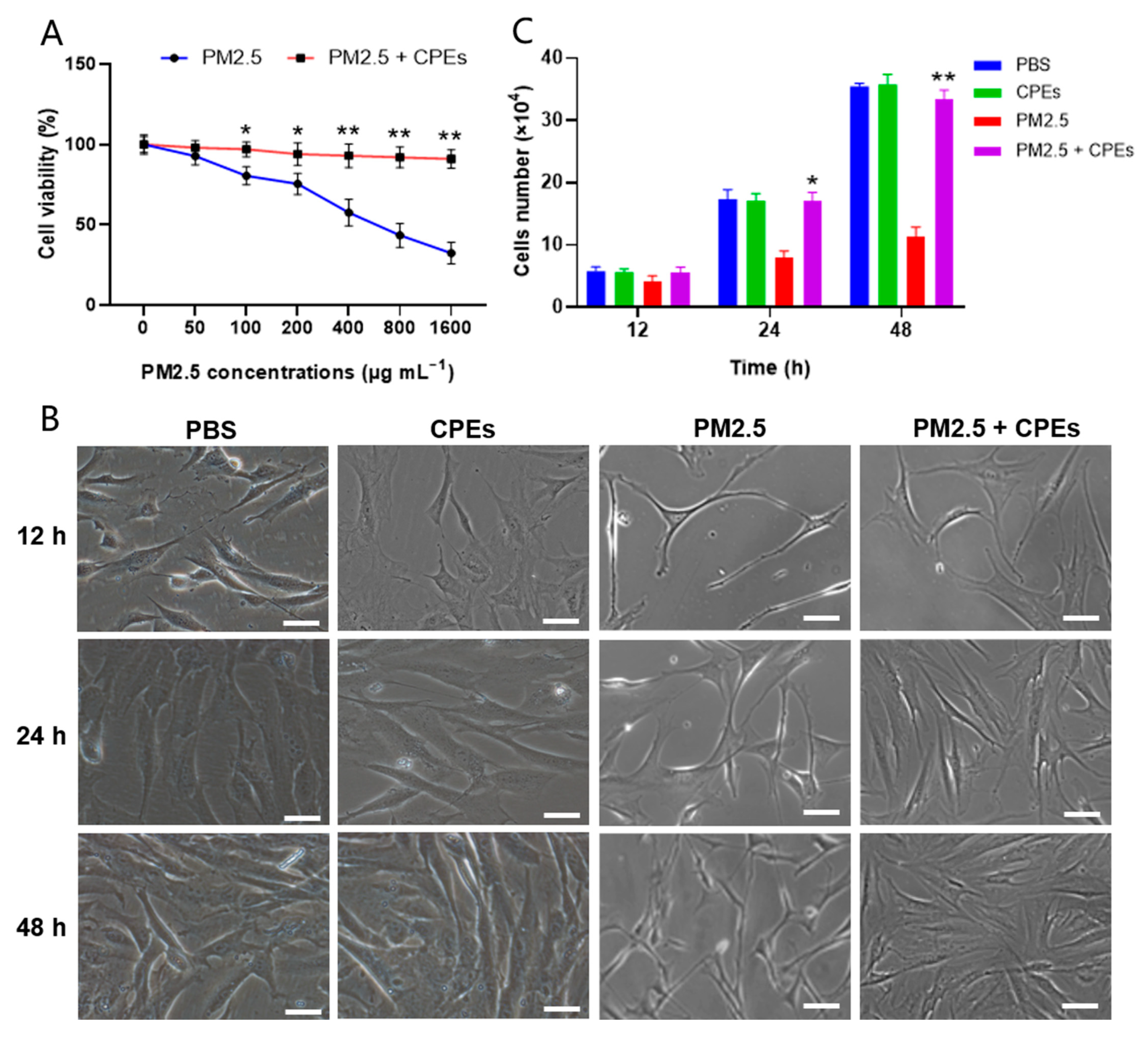 Cosmetics 10 00063 g004