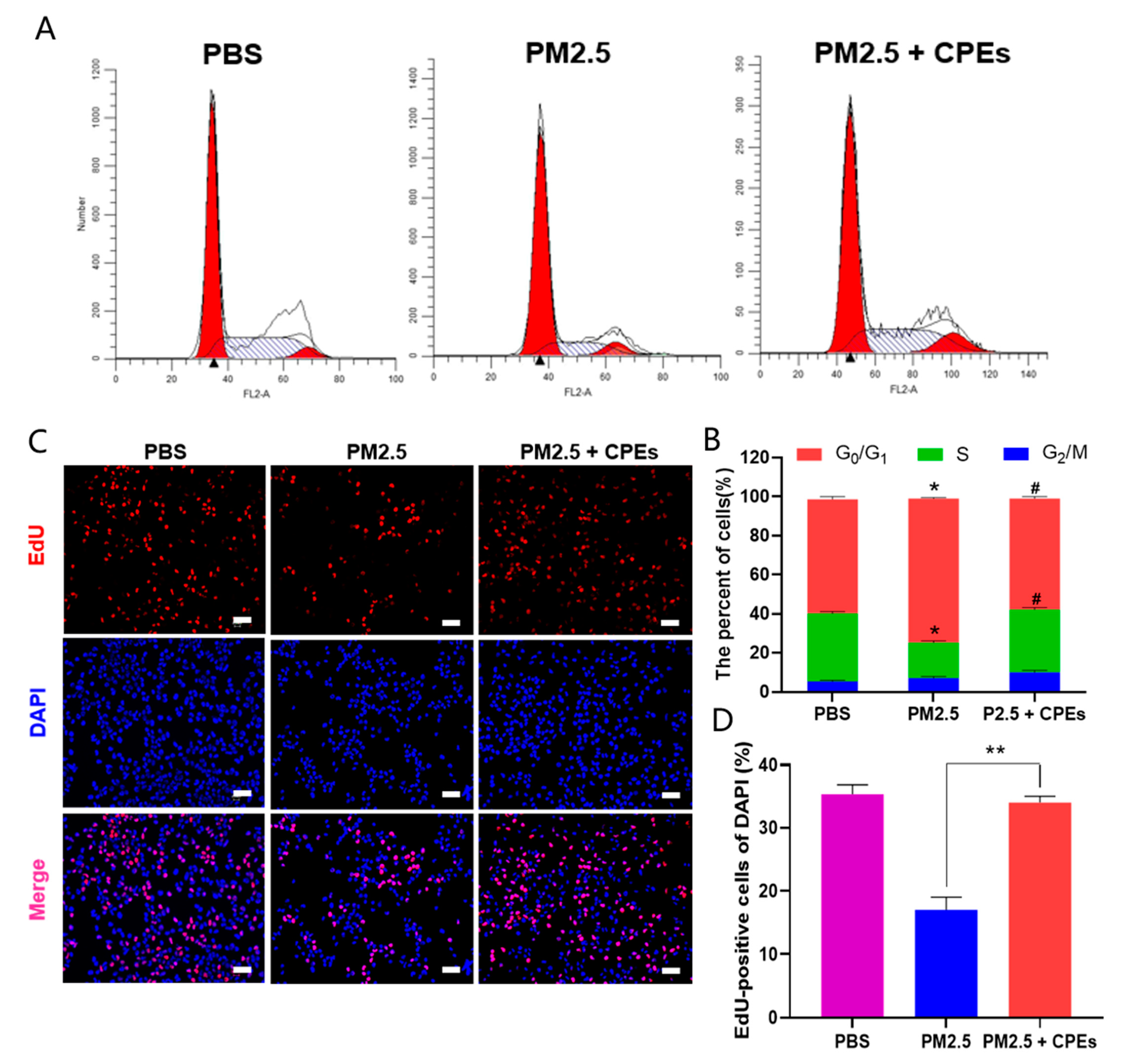 Cosmetics 10 00063 g005