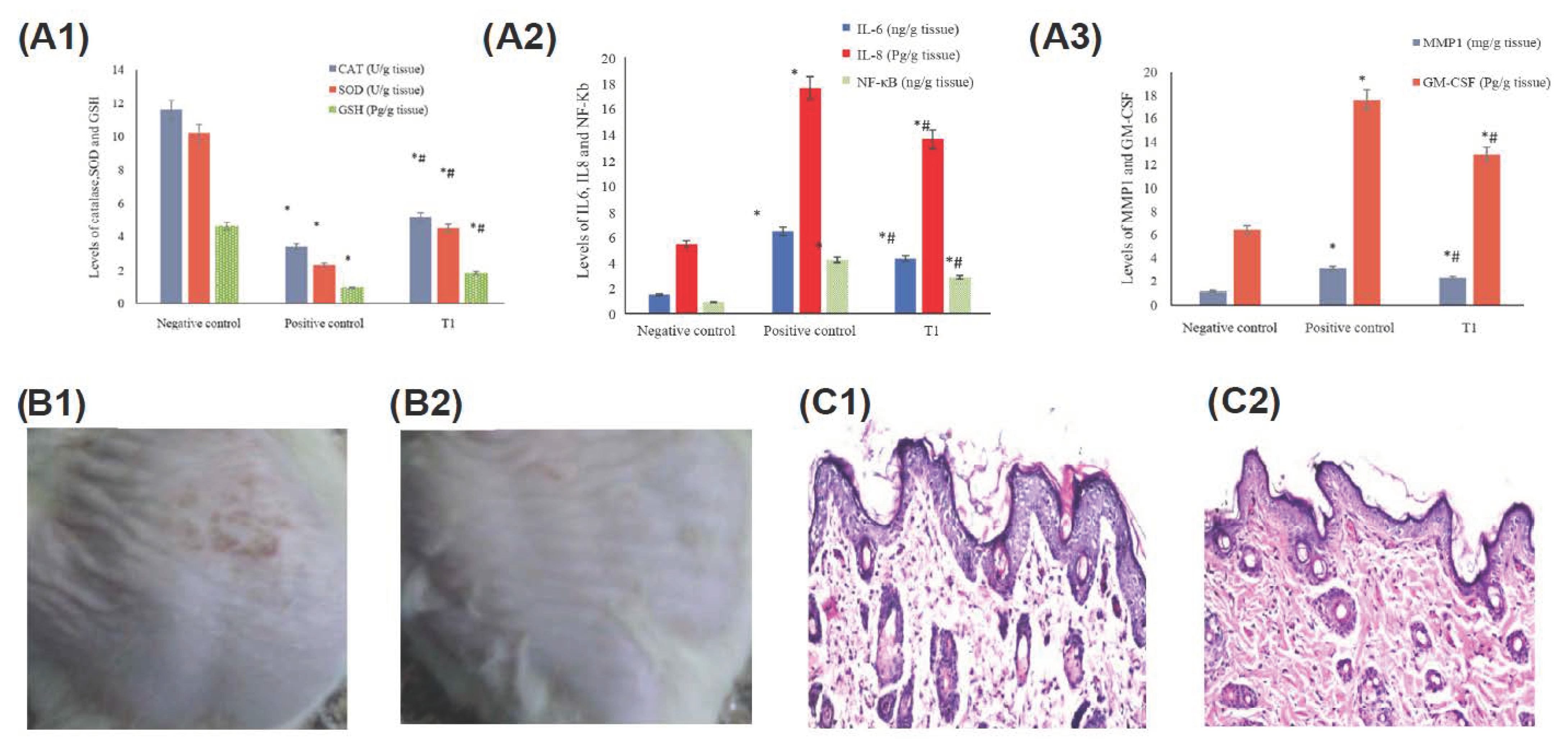 Cosmetics 10 00068 g002