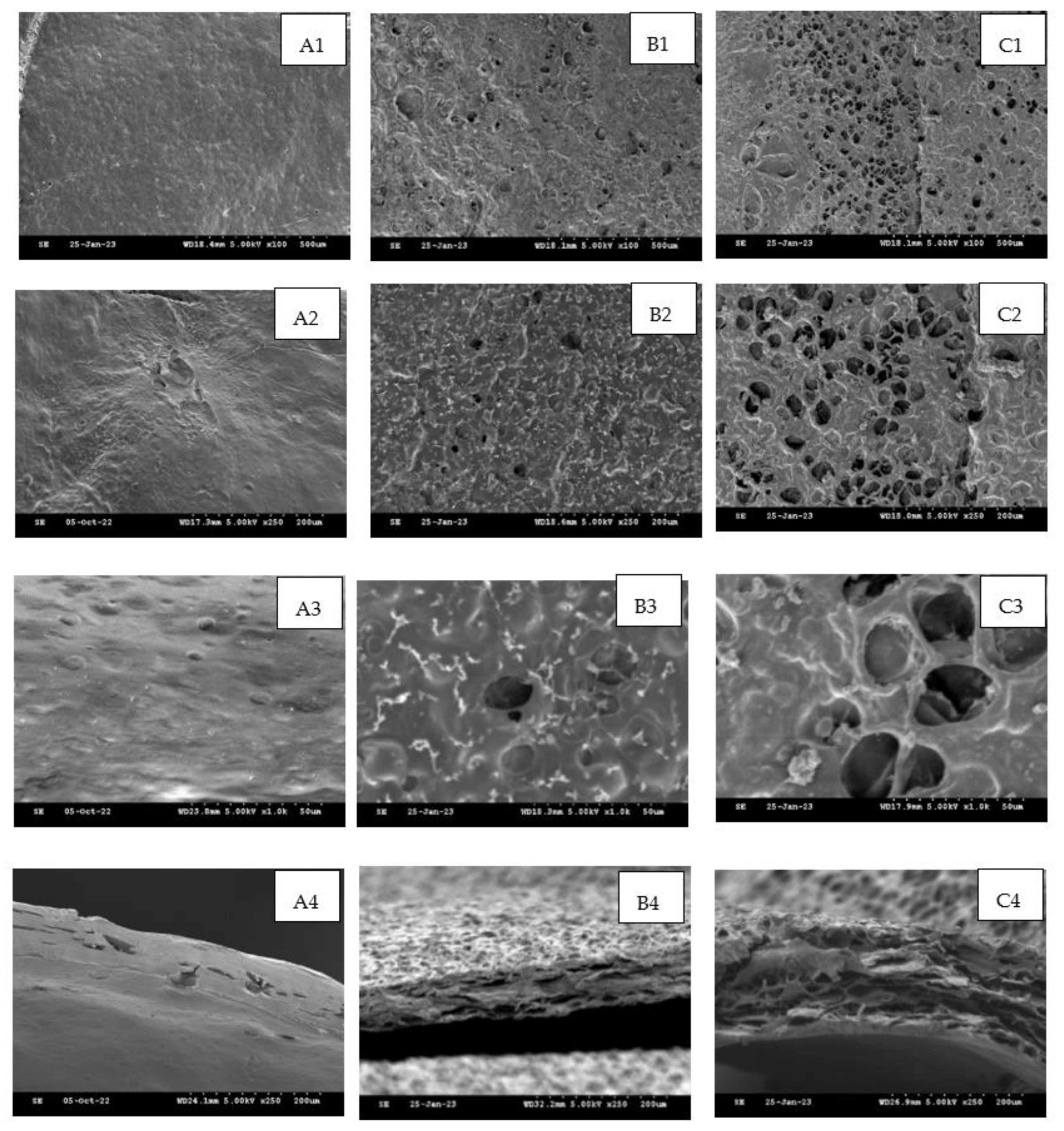 Cosmetics 10 00070 g003