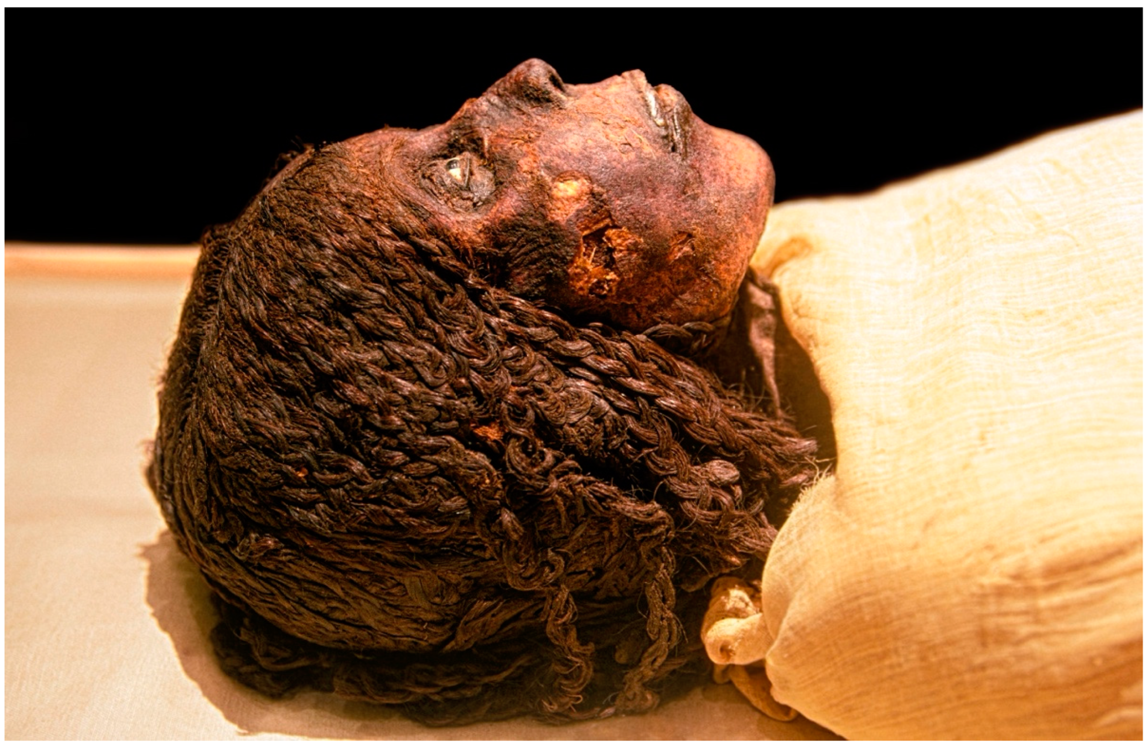 Cosmetics 10 00071 g003