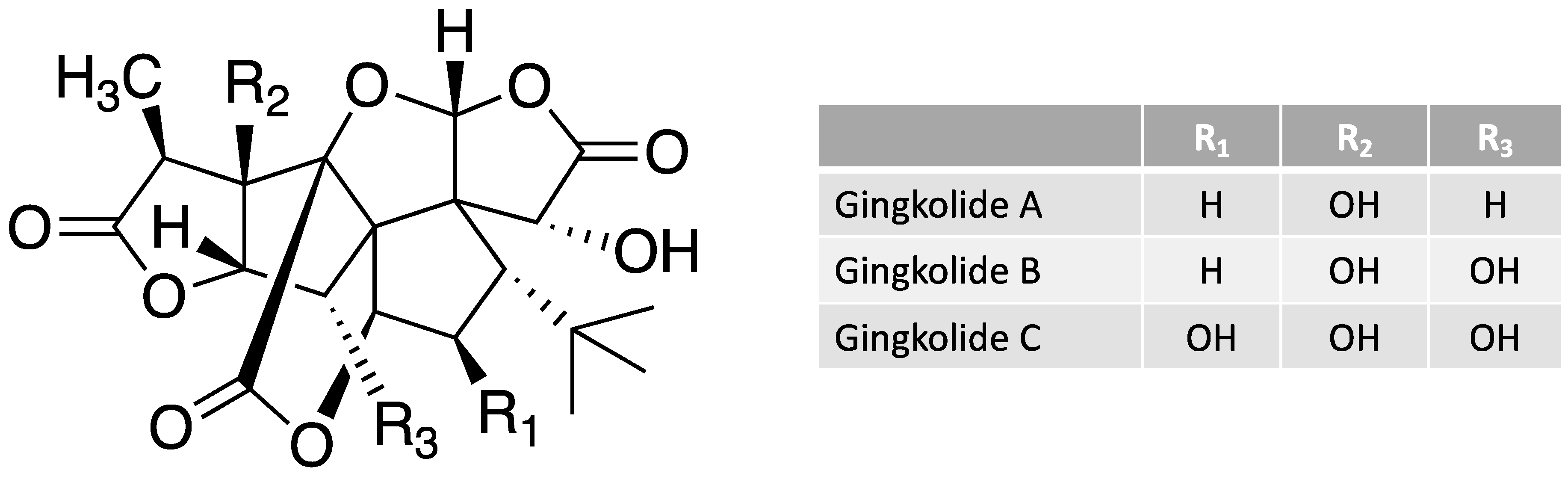 Cosmetics 10 00071 g004