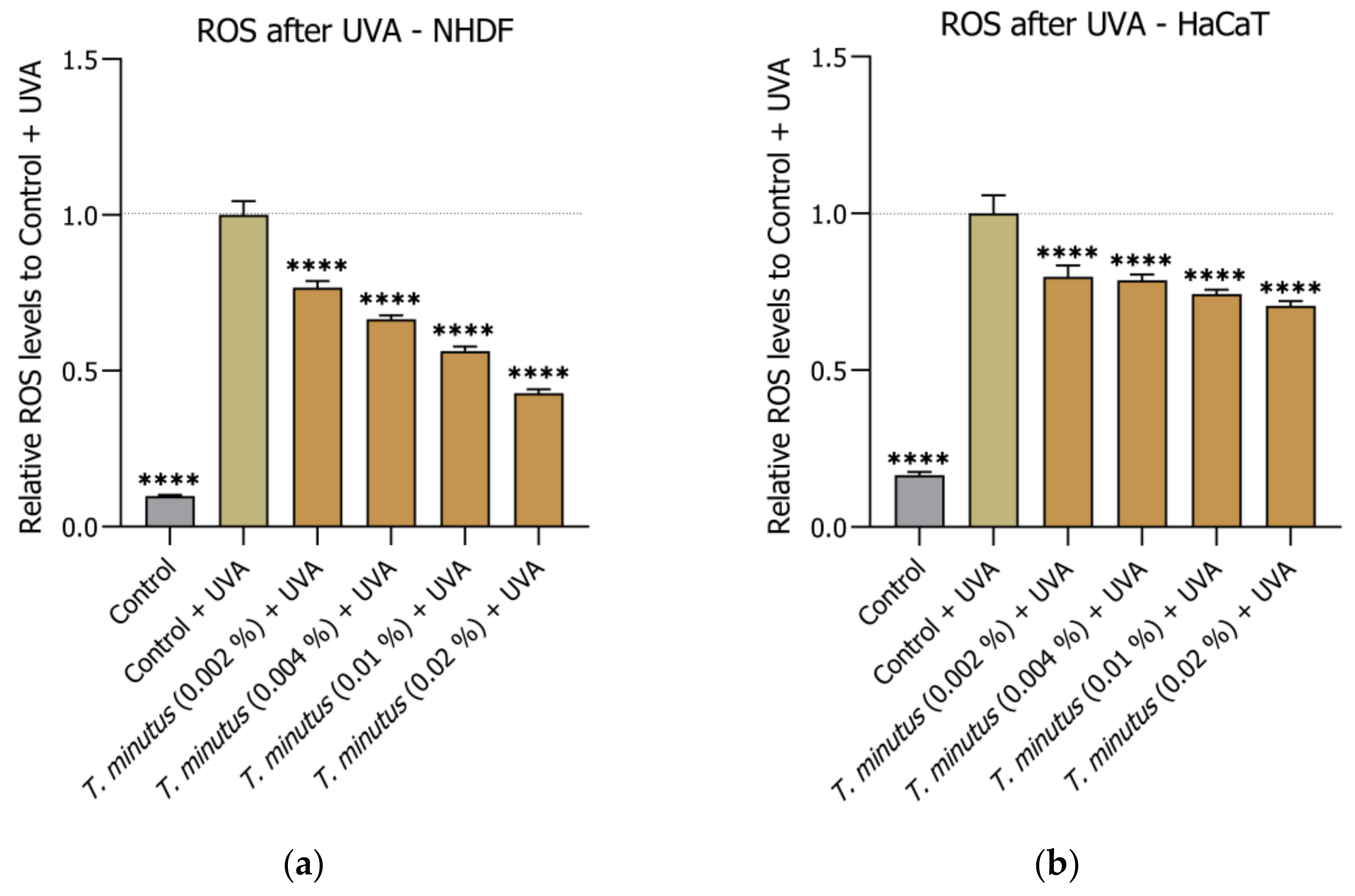 Cosmetics 10 00075 g005