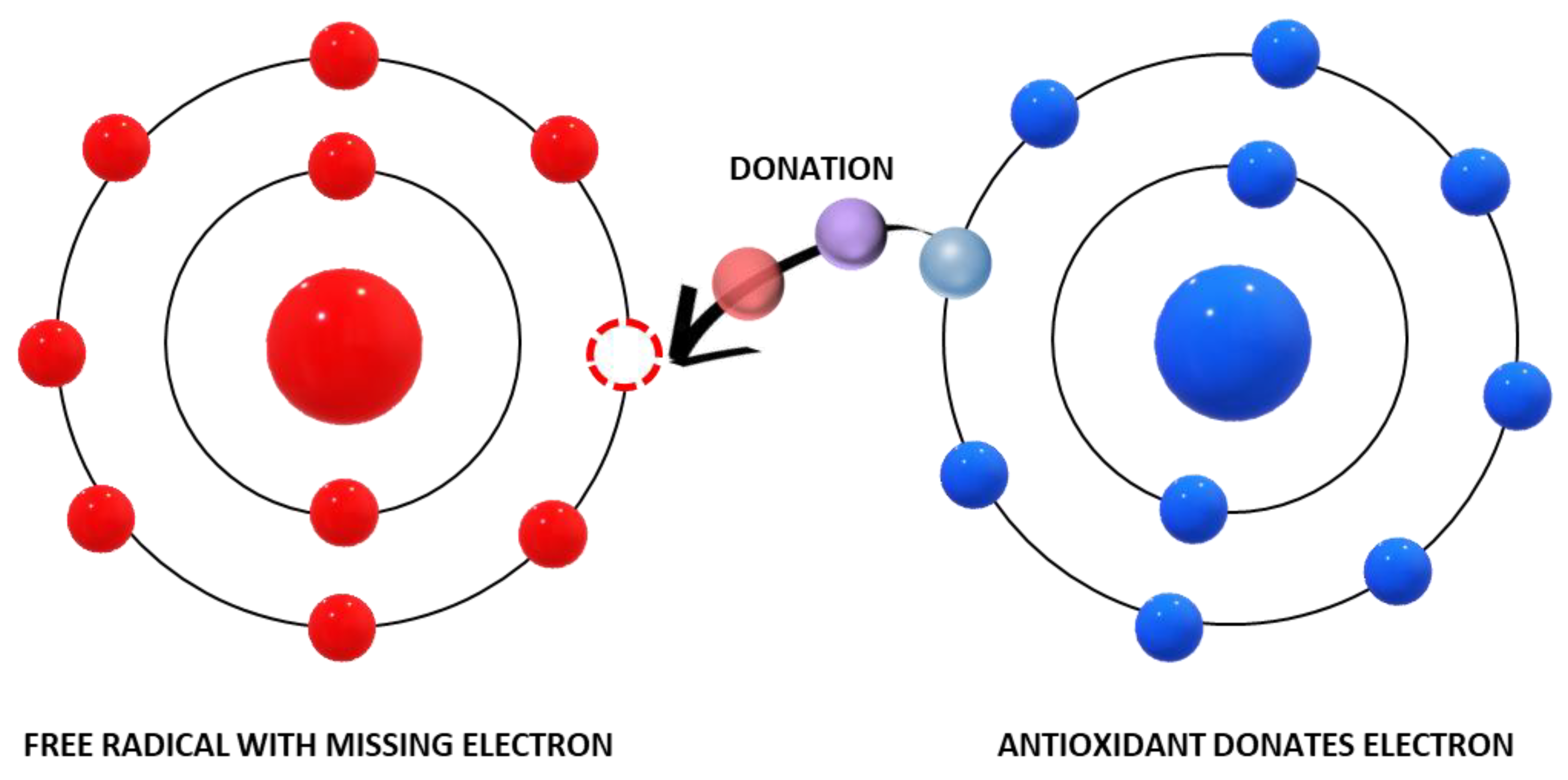 Cosmetics 10 00076 g007