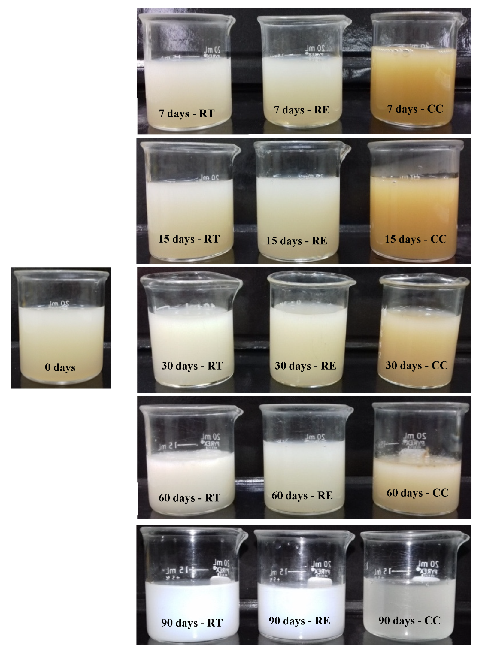 Cosmetics 10 00079 g002