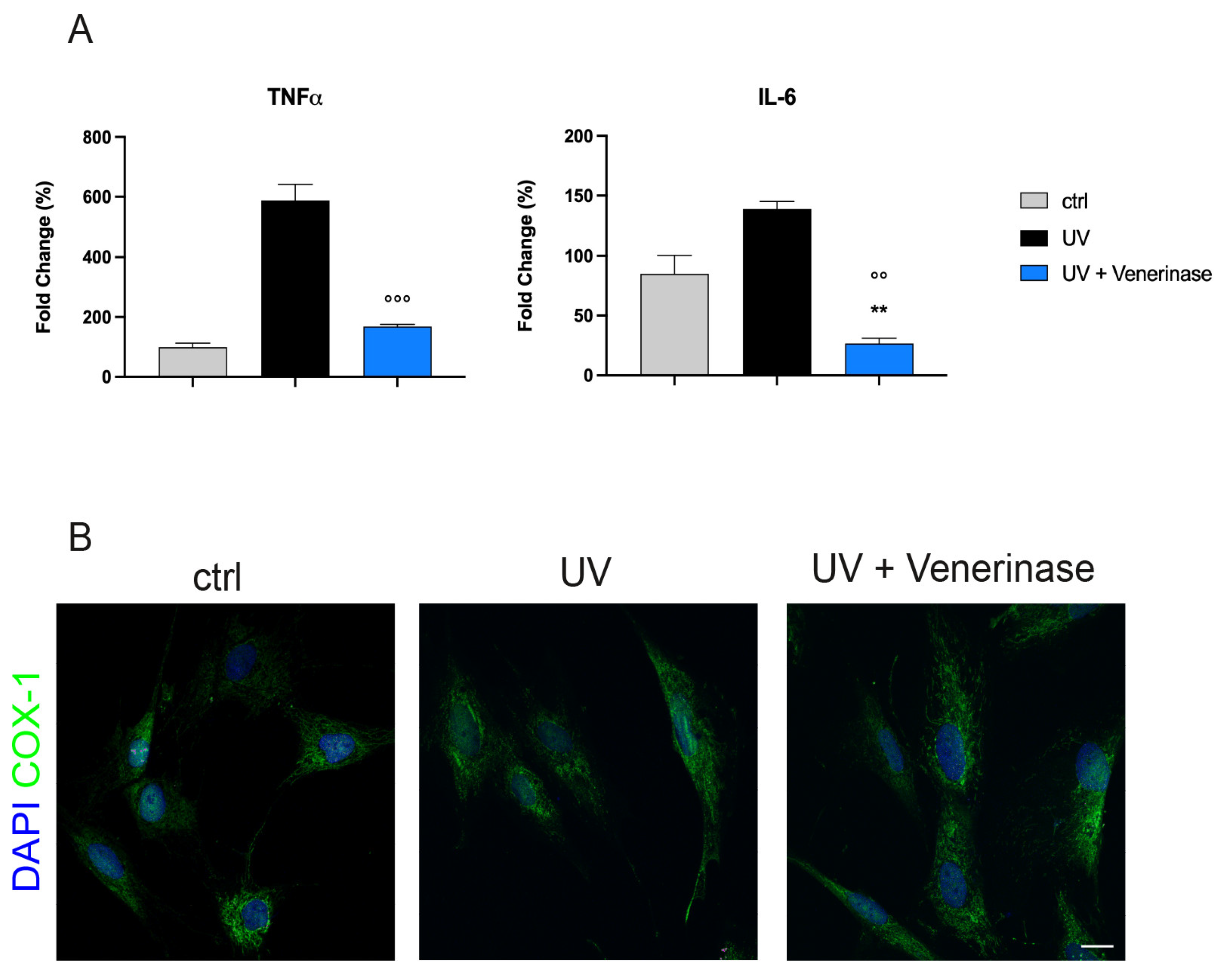 Cosmetics 10 00083 g003