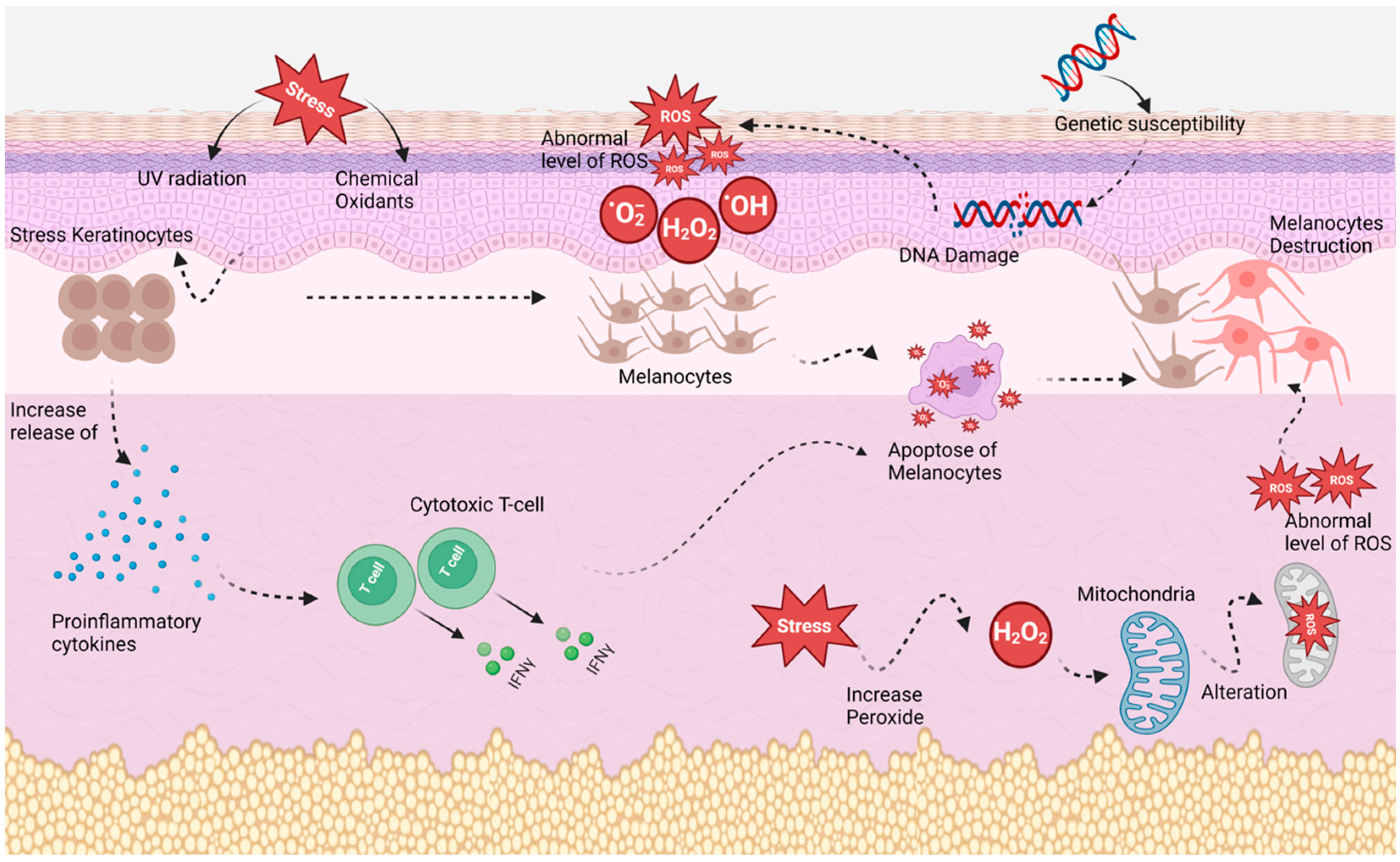 Cosmetics 10 00084 g001
