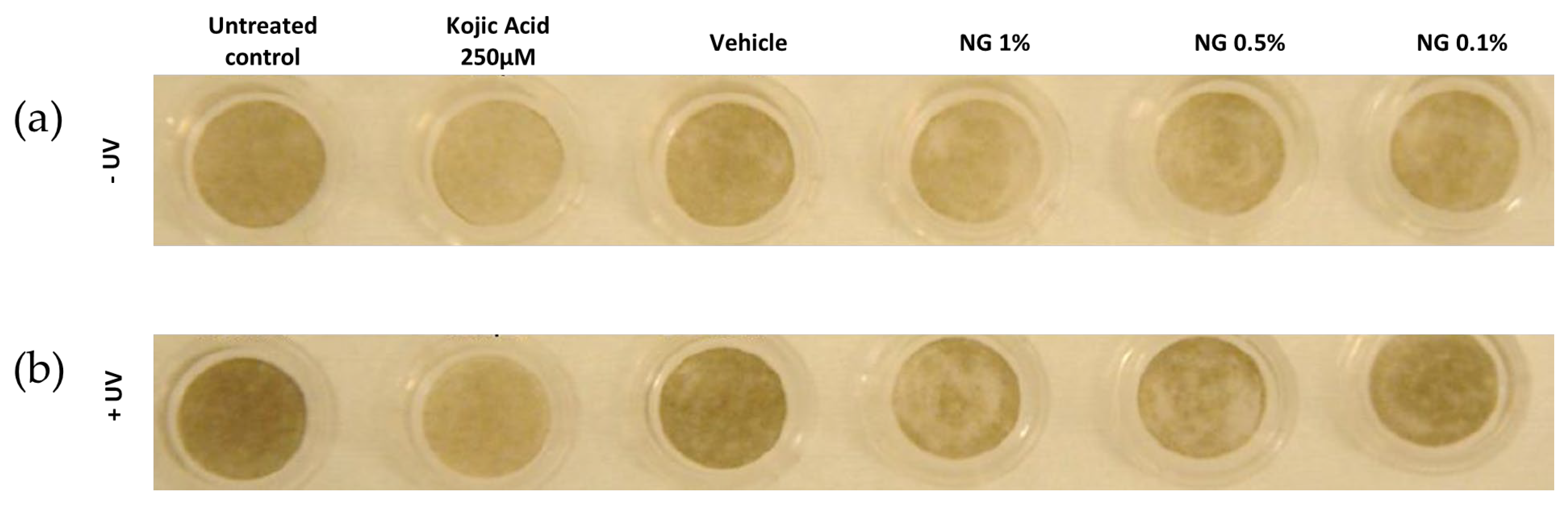 Cosmetics 10 00088 g006