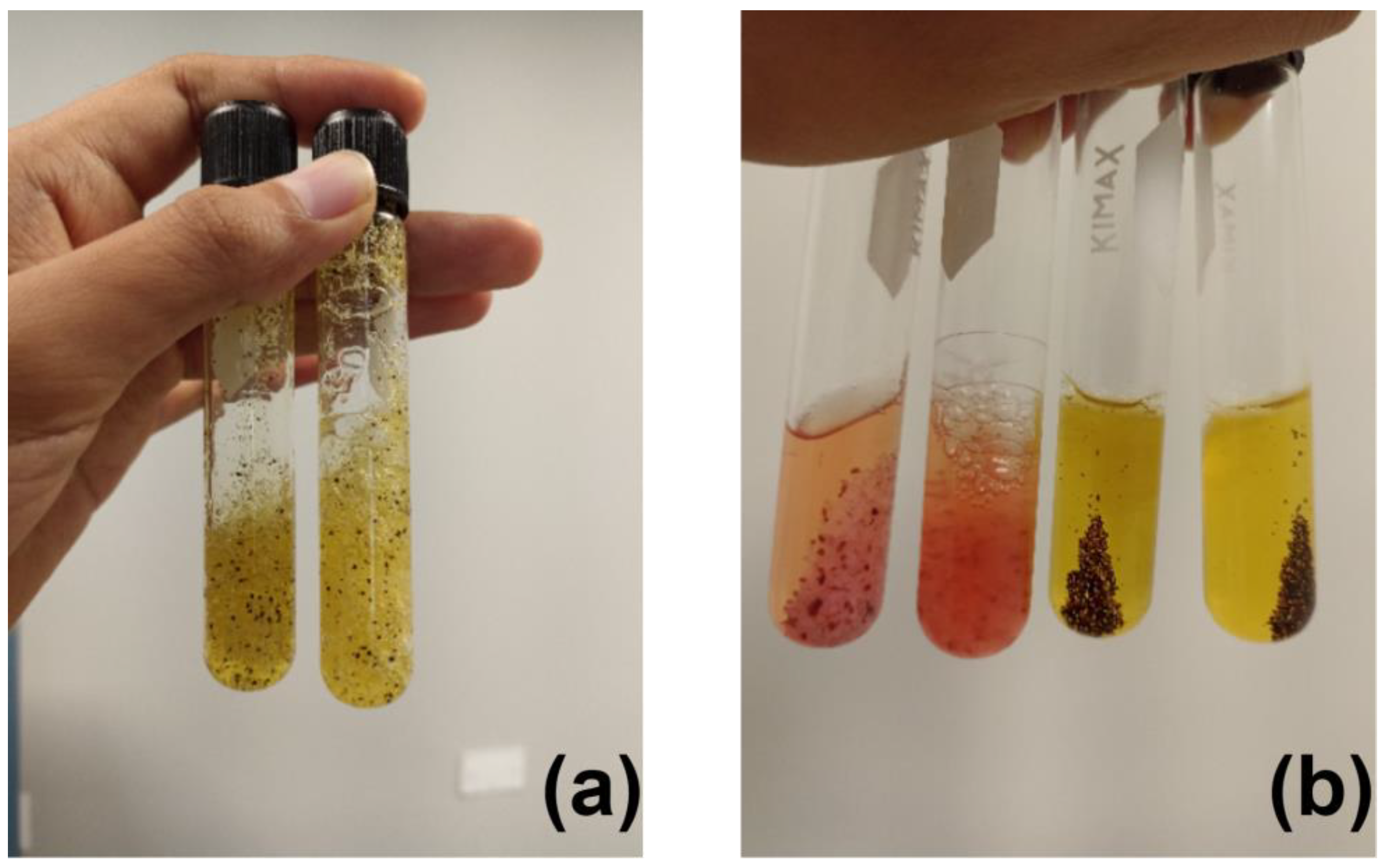 Cosmetics 10 00090 g007