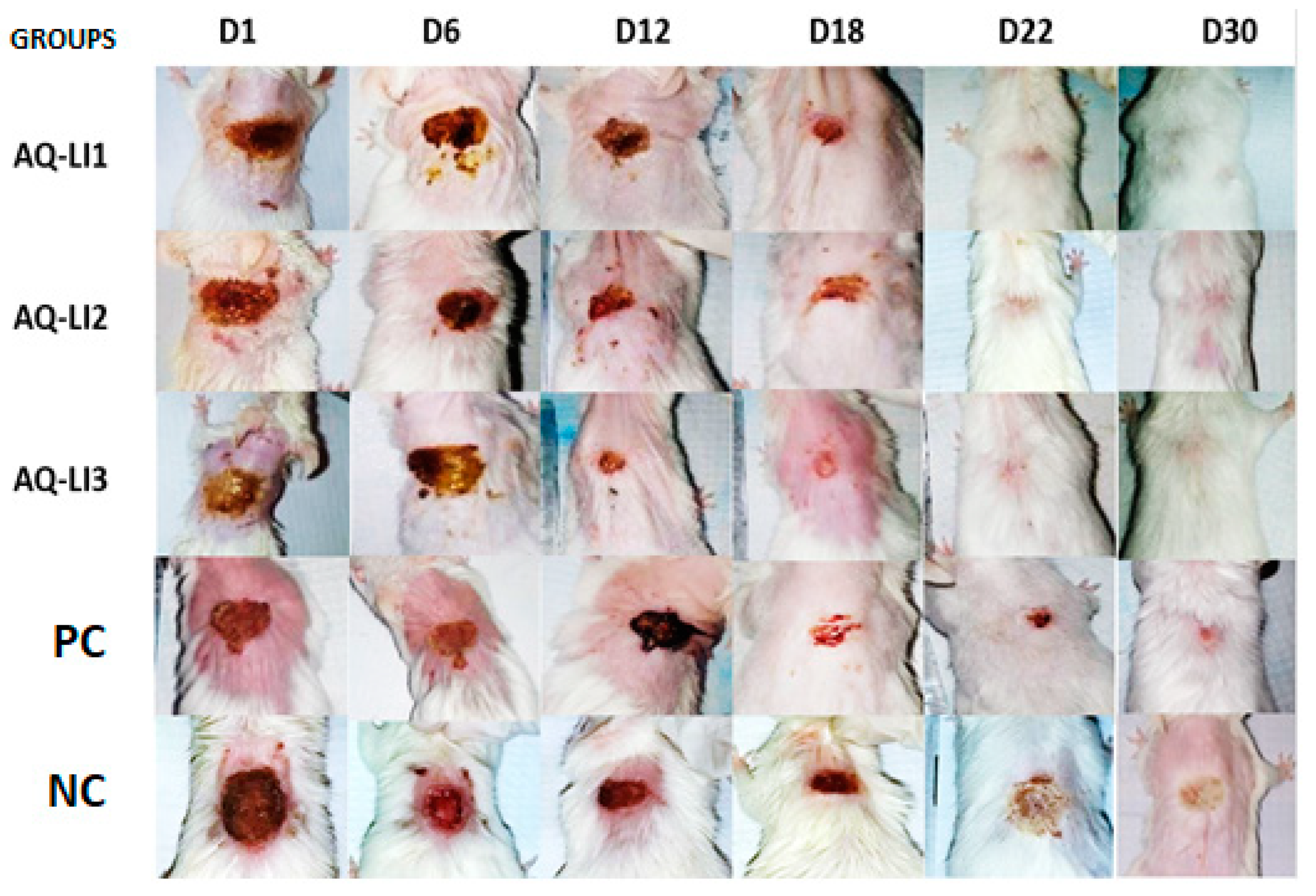 Cosmetics 10 00092 g004