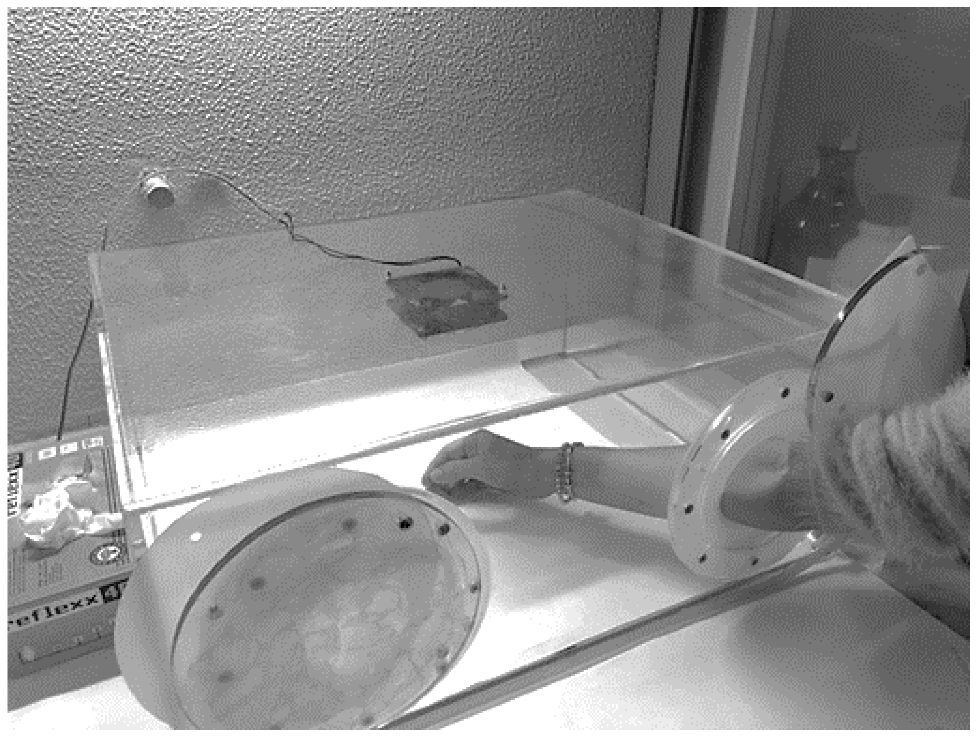 Cosmetics 10 00097 g002