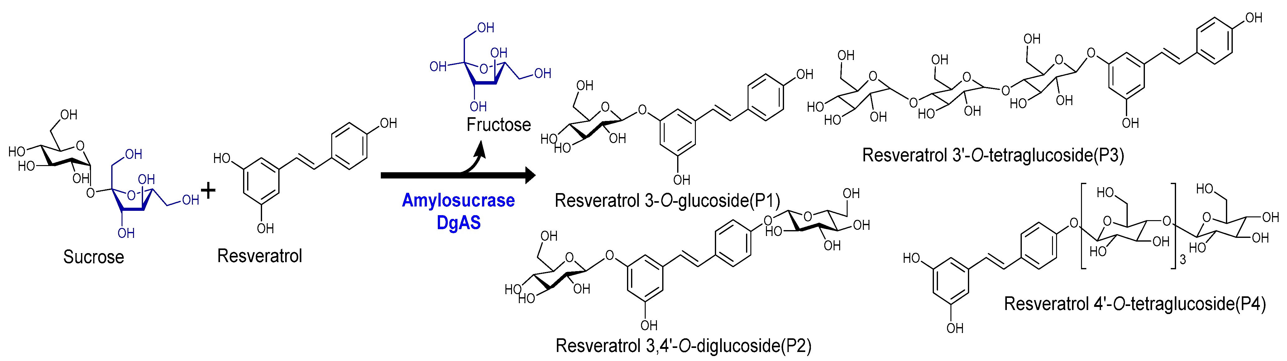 Cosmetics 10 00098 g001