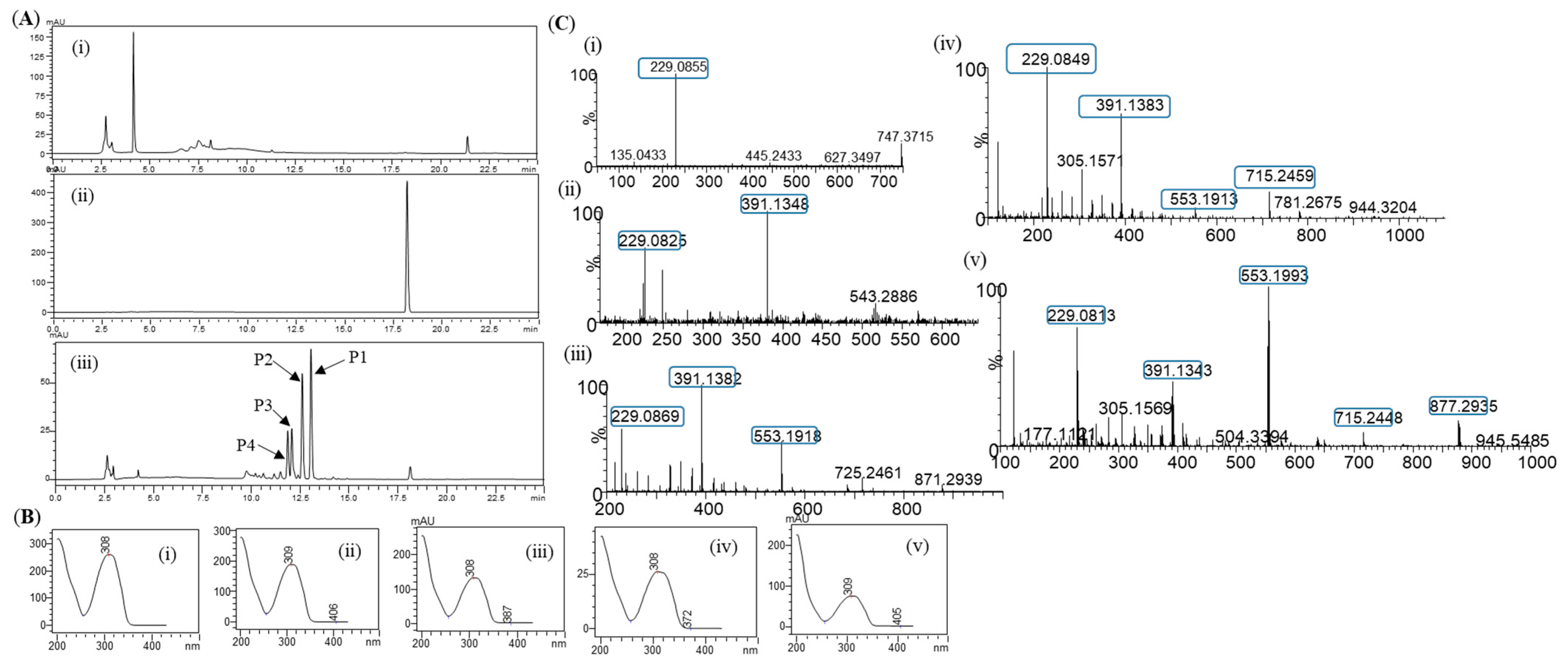 Cosmetics 10 00098 g002
