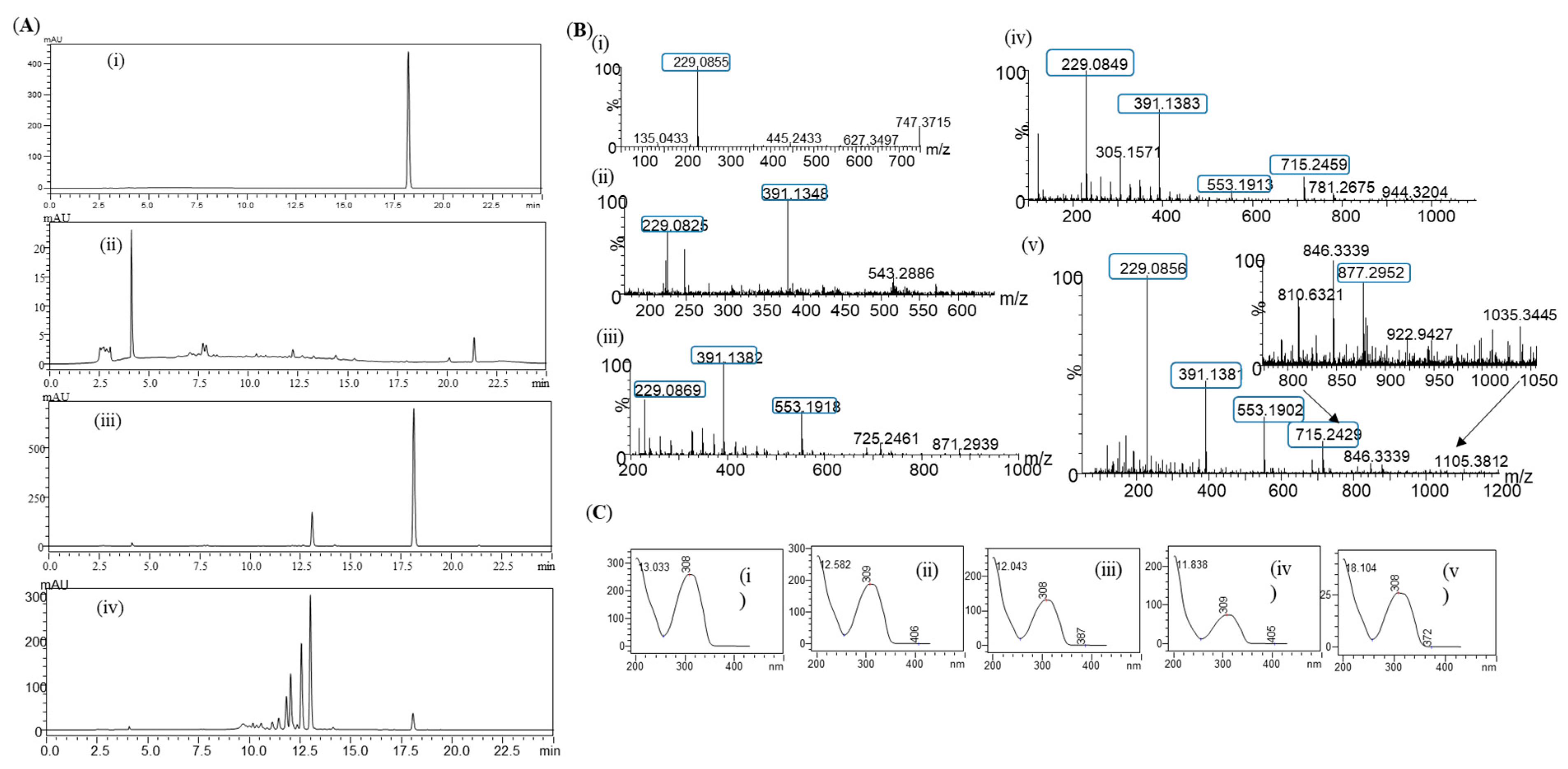 Cosmetics 10 00098 g005