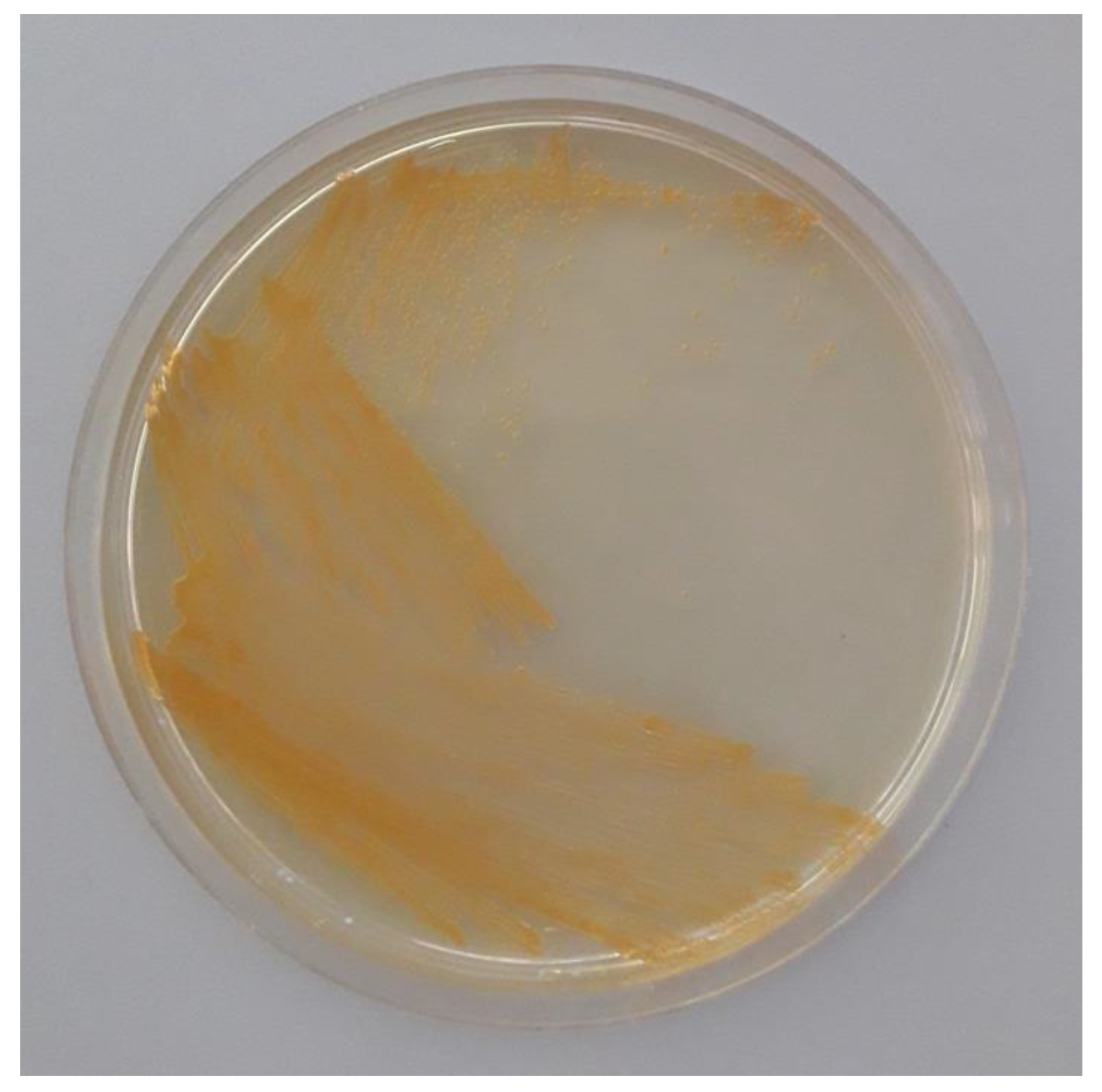 Cosmetics 10 00103 g002