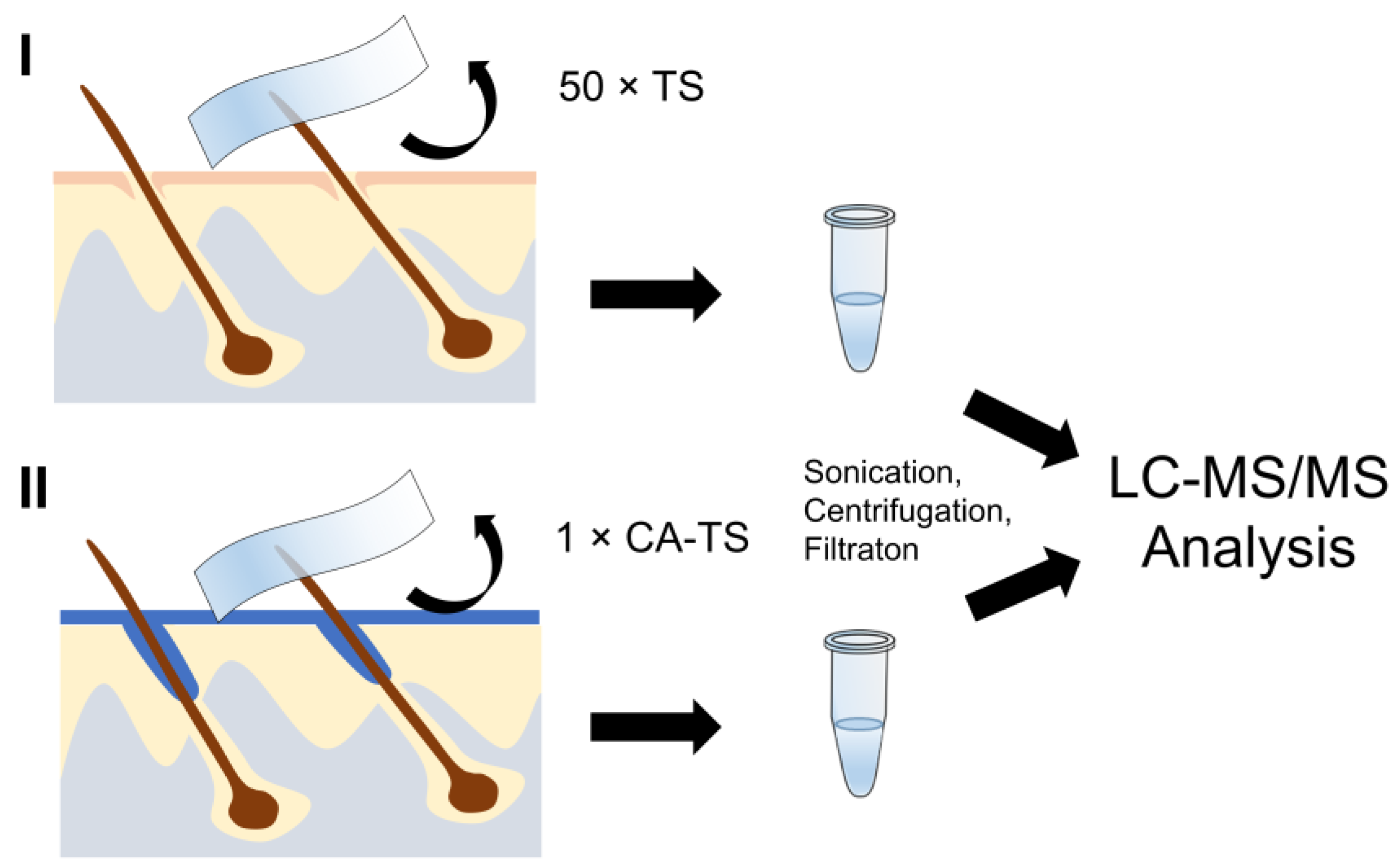 Cosmetics 10 00104 g001