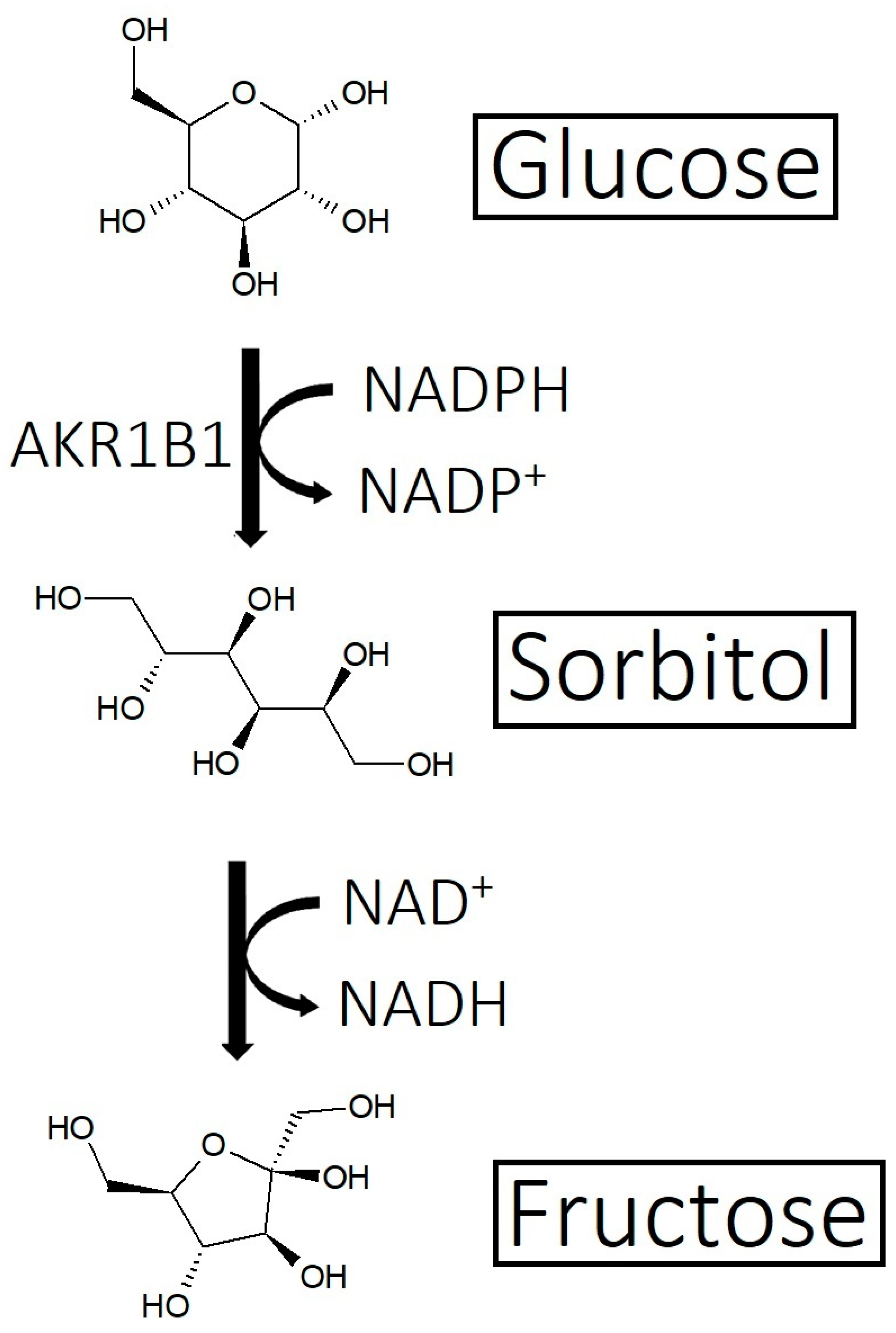 Cosmetics 10 00106 g011 Cosmetics 10 00106 g011