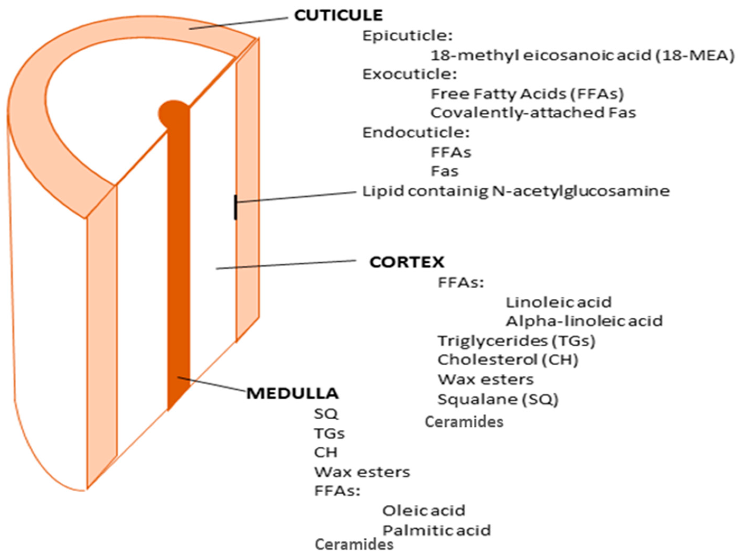 Cosmetics 10 00107 g001 Cosmetics 10 00107 g001
