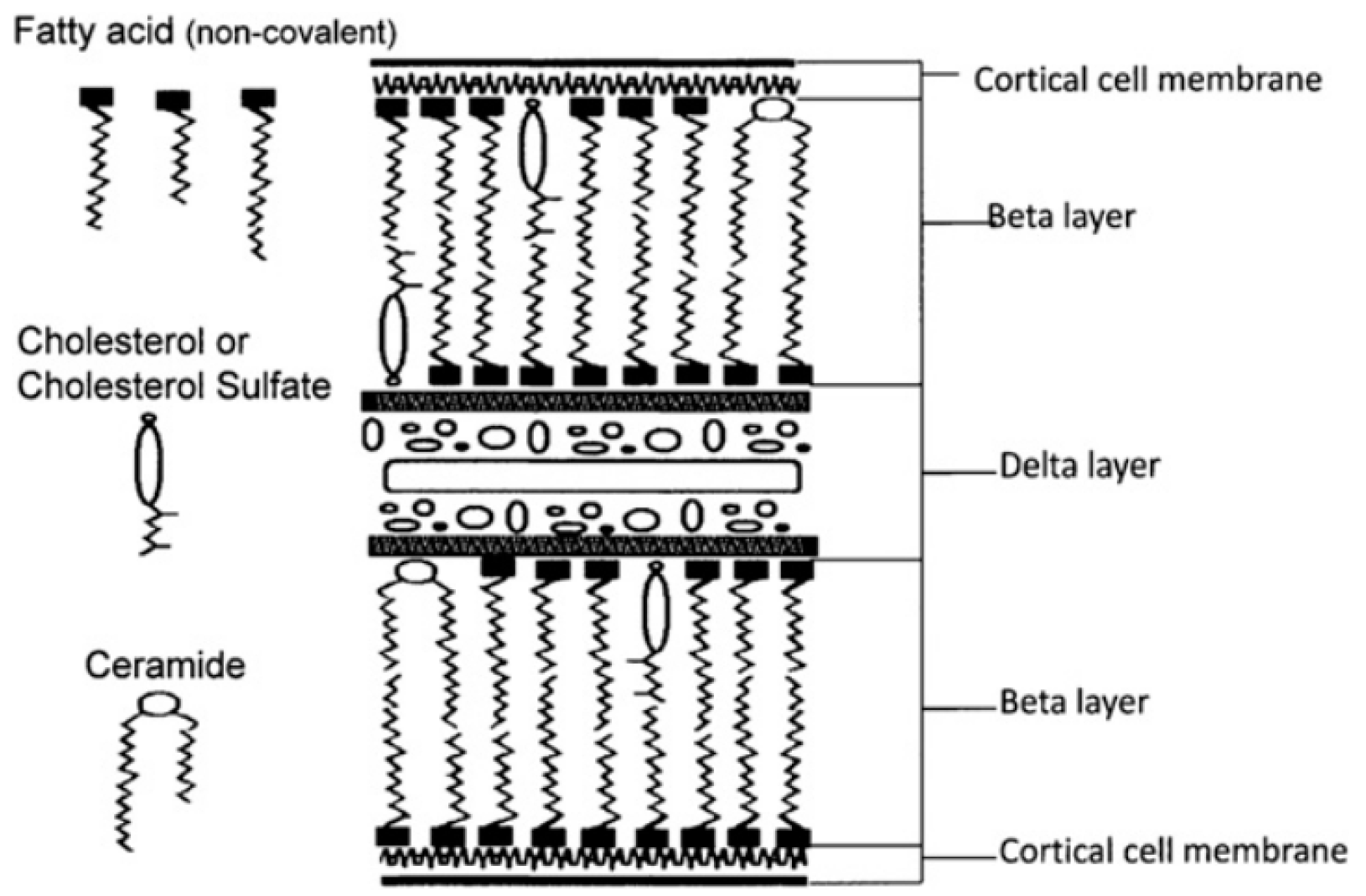 Cosmetics 10 00107 g003 Cosmetics 10 00107 g003