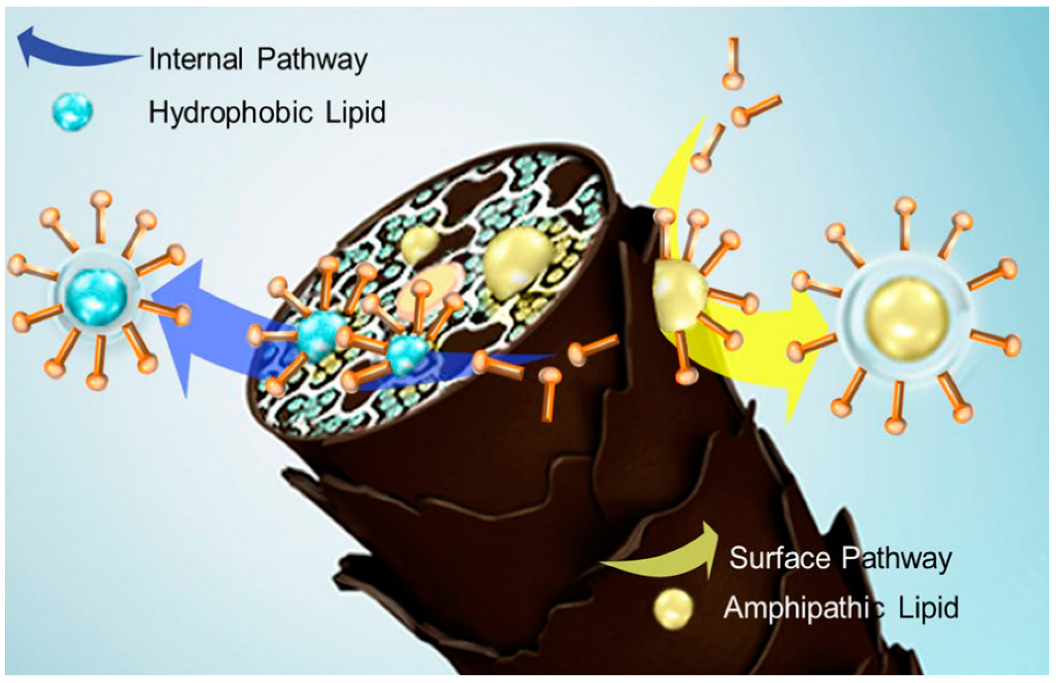 Cosmetics 10 00107 g004 Cosmetics 10 00107 g004