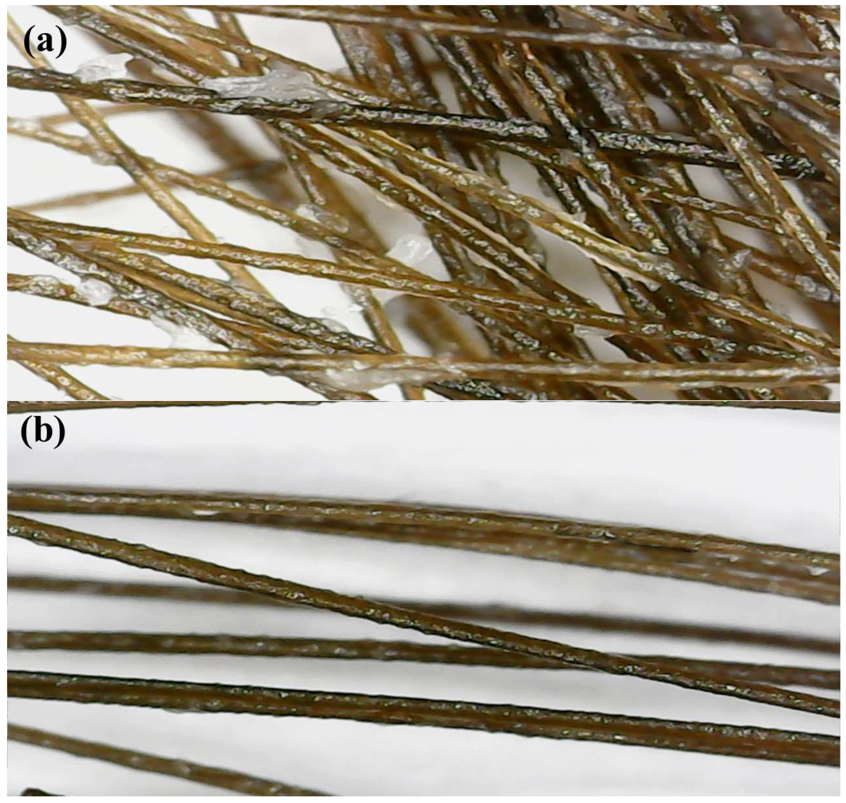 Cosmetics 10 00109 g001