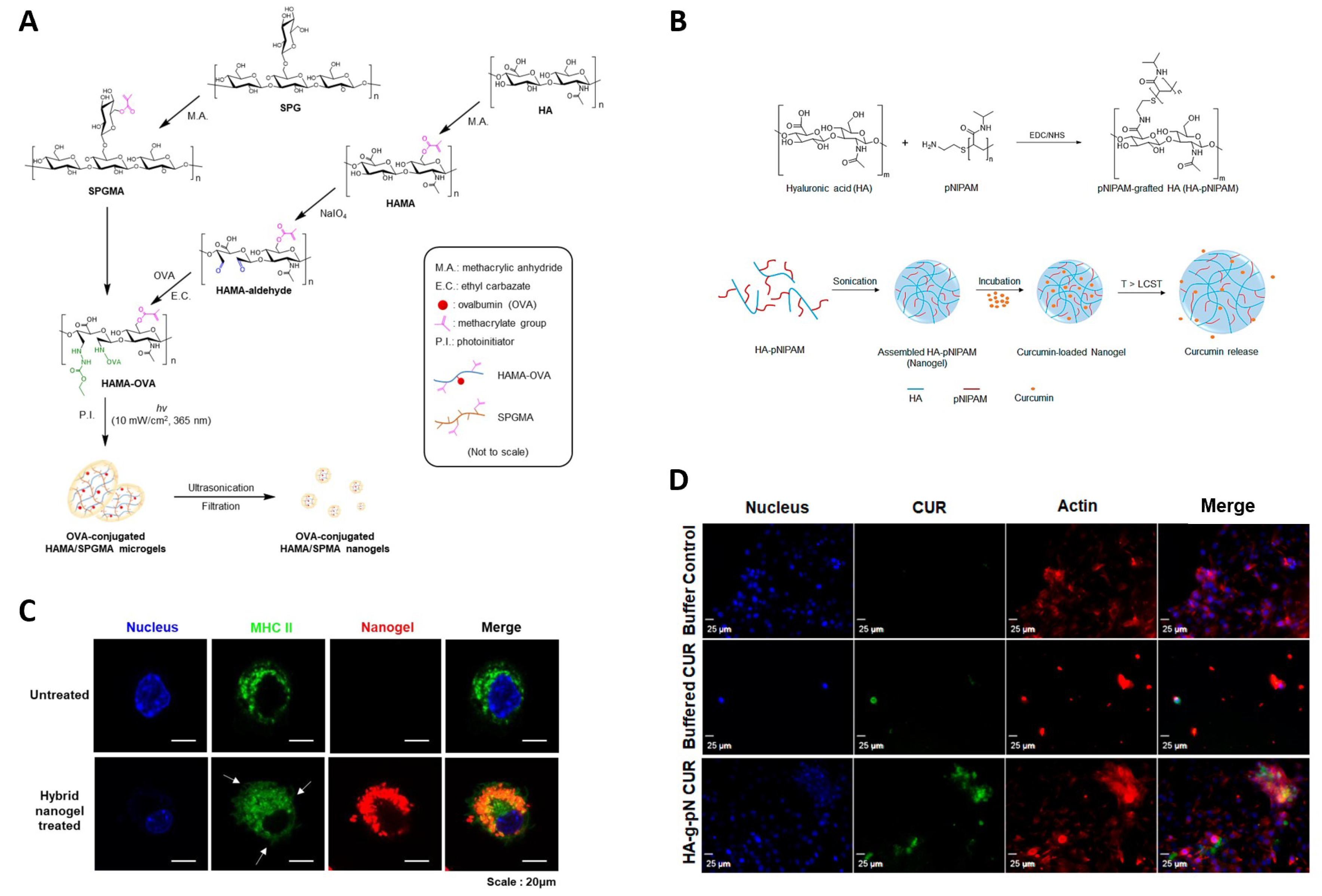 Cosmetics 10 00113 g005