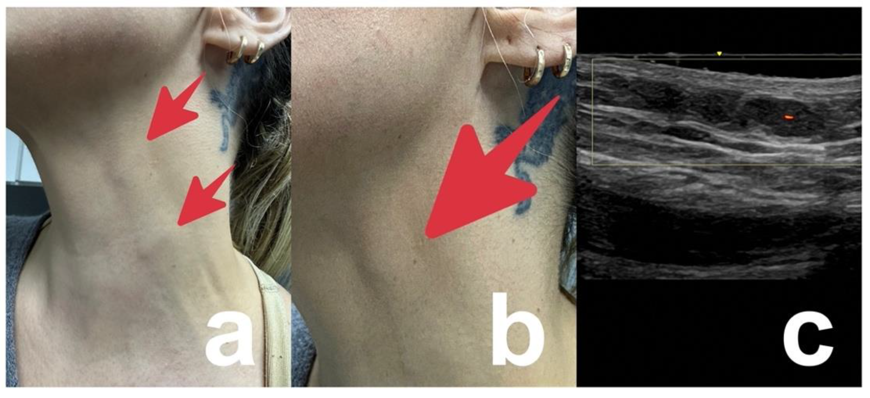 Cosmetics 10 00115 g005