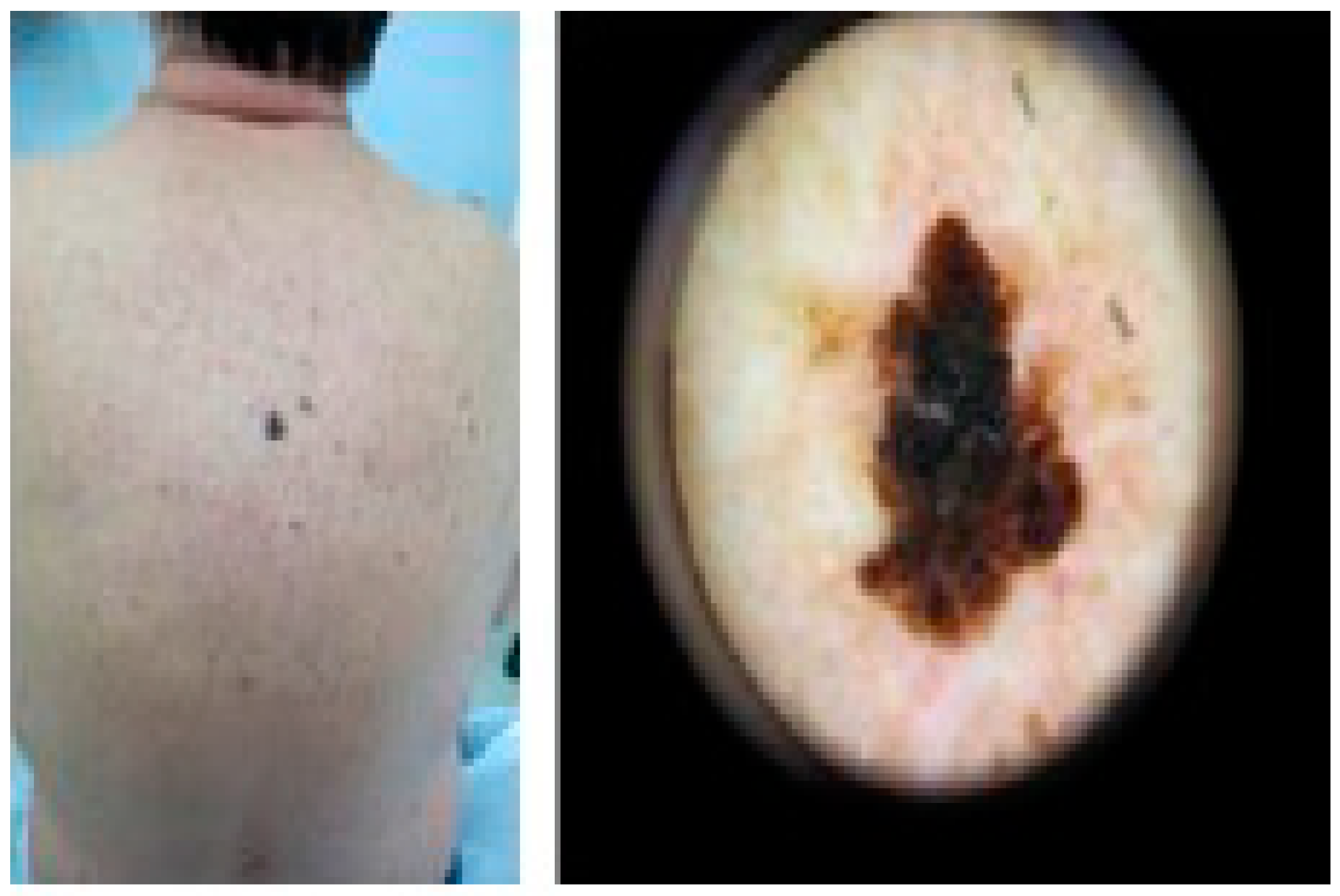 Cosmetics 10 00120 g003