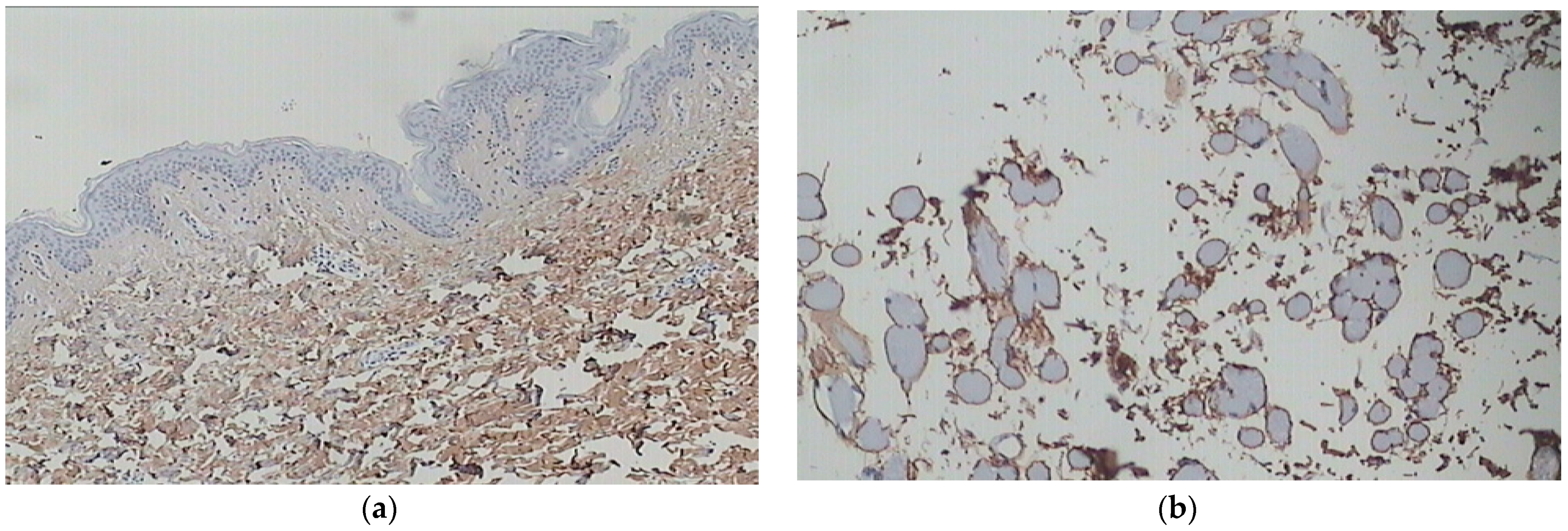 Cosmetics 10 00120 g004